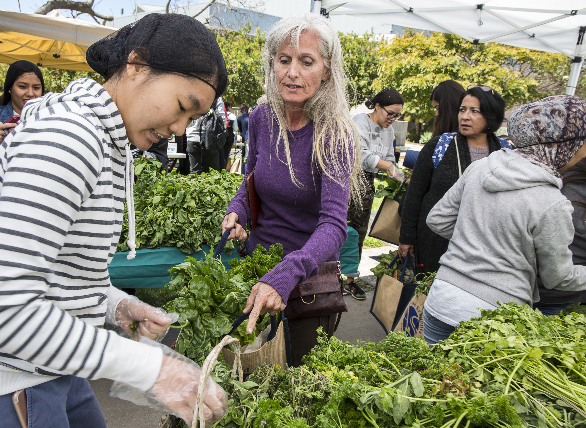  Santa Monica College (SMC) student Laura Jayne Blackwell (center) stops and points to the fresh cilantro that she would love to add to her basket of fresh produce during the Santa Monica College Earth Day event “Students Feeding Students” from the C