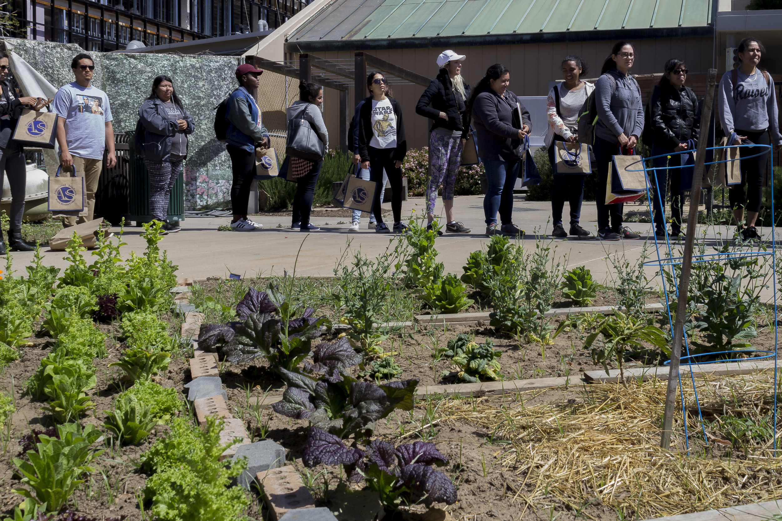  Students linned up to grab their bag of free fruits and vegetables. Earth Week started with 'Students Feeding Students' Free Farmers Market & Food Demos on Monday, April 16, 2018. At Santa Monica College, Santa Monica California. (Emeline Moquillon/