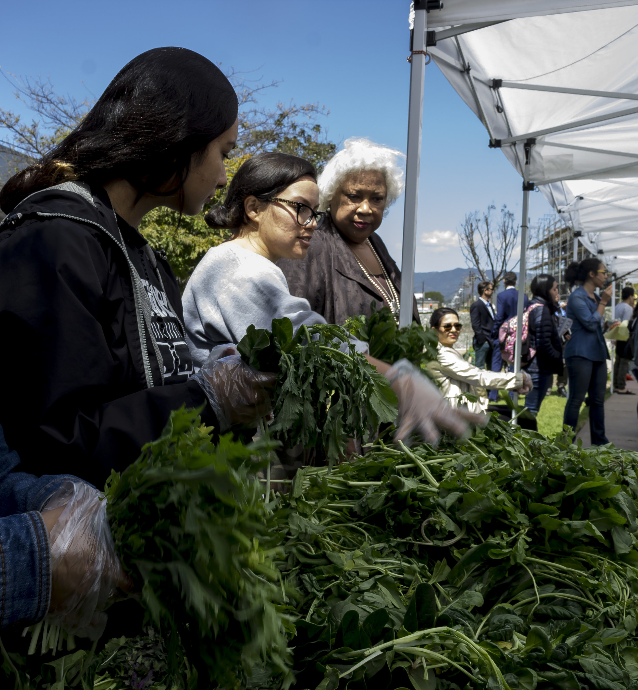  Dr. Kathryn Jeffery (right), President of Santa Monica College, talks with volunteers at the Farmers Market. About 40 volunteers helping for the Marmers Market and other stands. Earth Week started with 'Students Feeding Students' Free Farmers Market