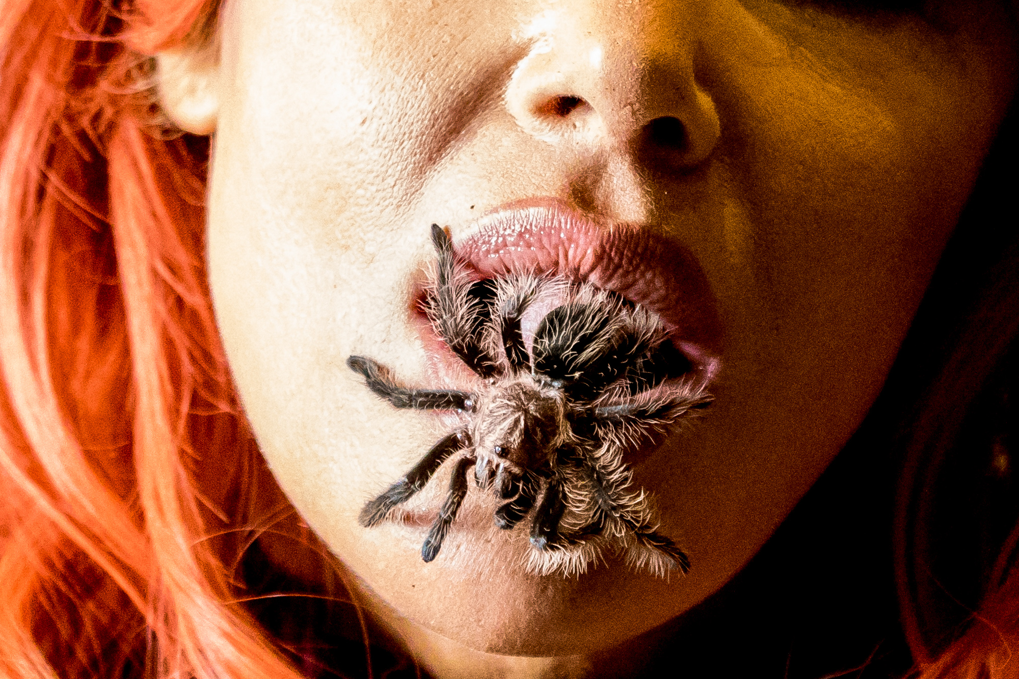  A Tarantuala crawls out of Diana Terranova's mouth during the Los Angeles National History Museums 32nd Annual Bug Fair. Terranova perfomred this act to educate the crowd on the misconceptions of how dangerous tarantuals are. The Bug Fair took place