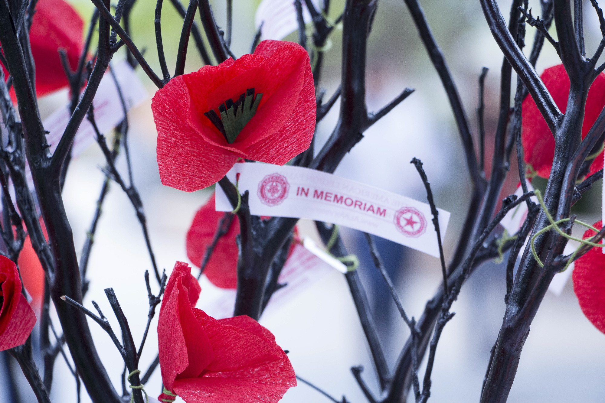  Handmade red poppies, the official symbol of rememberance inspired by John Macrea's poem "In Flanders' Fields" at Santa Monica College's Memorial Day Commemoration in Santa Monica, California on Thursaday May 24, 2018 (Wilson Gomez/Corsair Photo) 