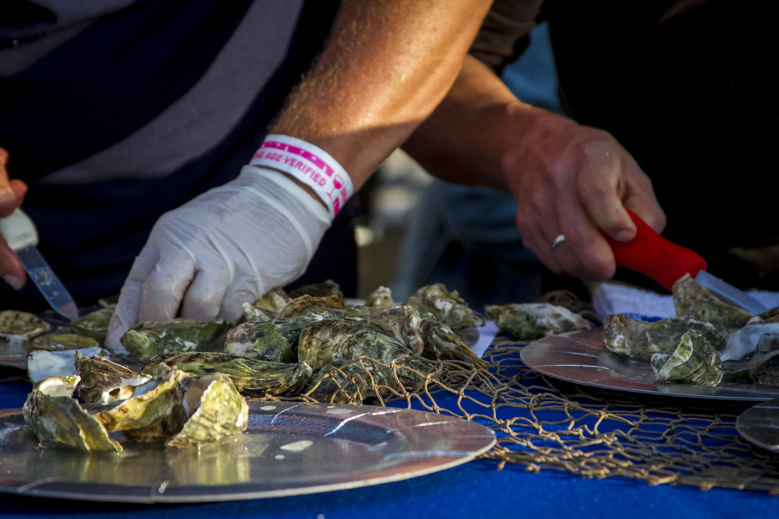 Close up of the compeitors shucking oysters. At Off the Hook Seafood Festival. Oct. 6, 2018. By Yasser Marte.