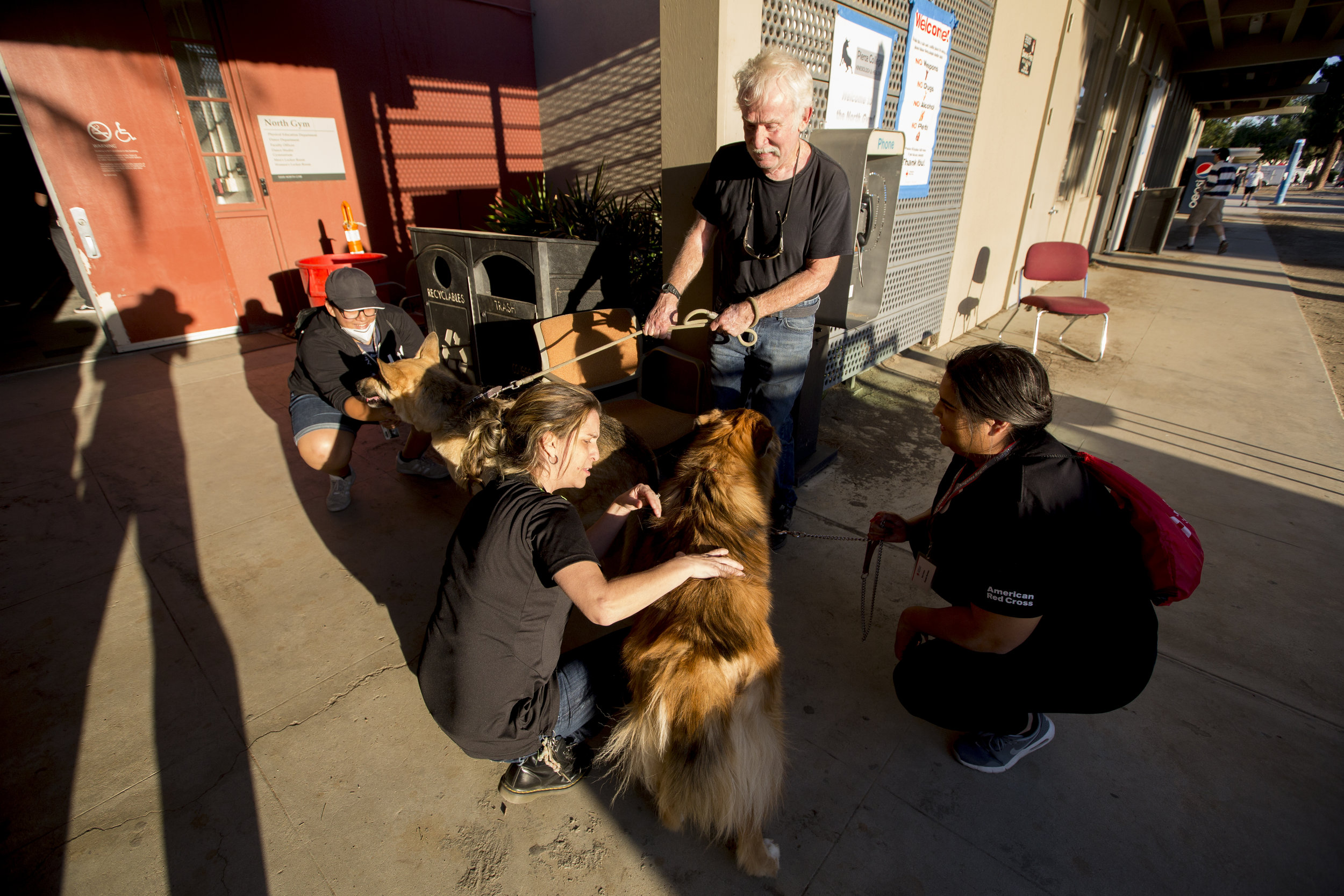  An evacuee arrives with his pets at the Woolsey fire evacuation center set up at Los Angeles Pierce College on November 9, 2018 in Woodland Hills, Calif. (Jose Lopez) 