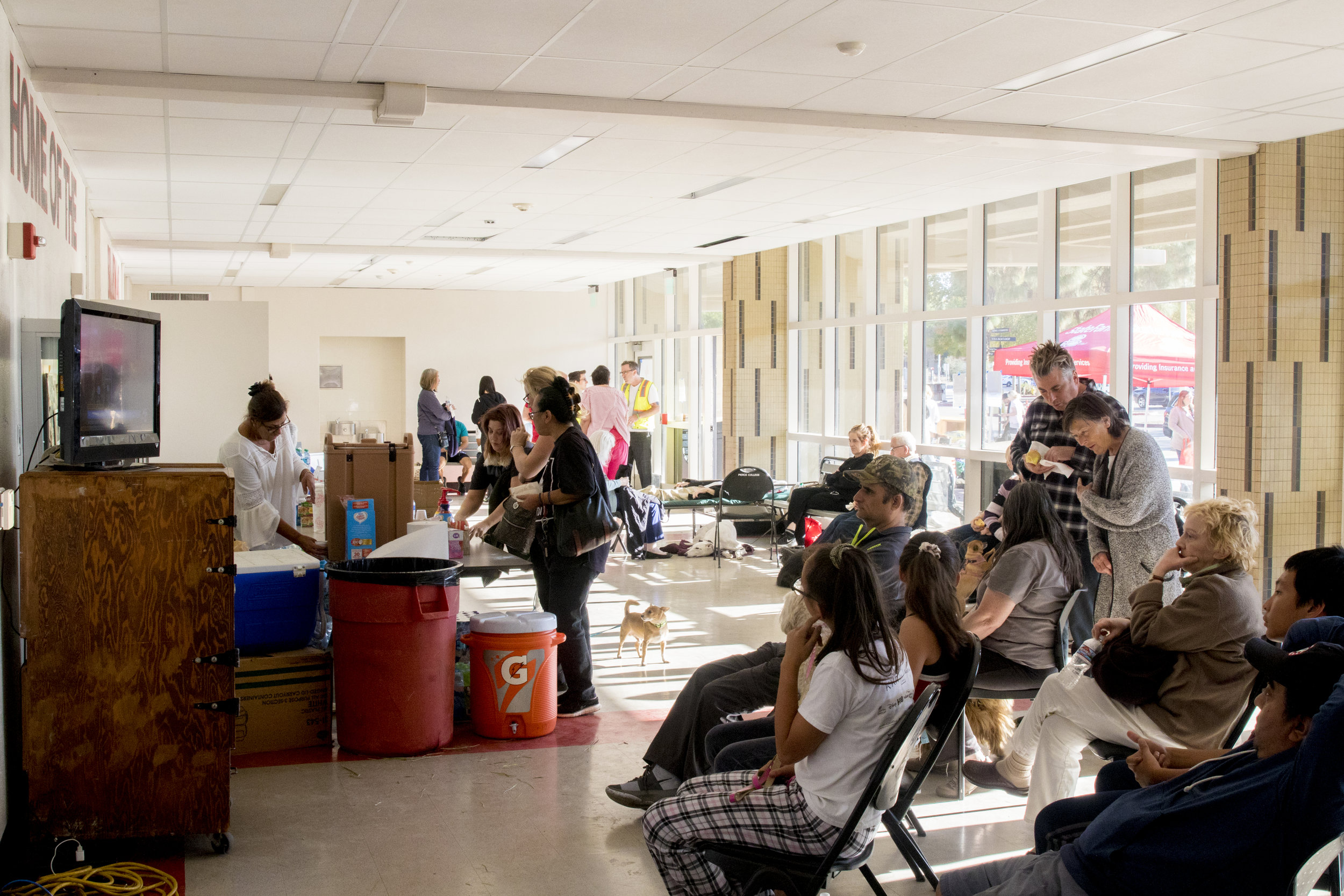  Evacuees of the Woolsey Fire watch live news to get updates on their homes and neighborhoods and receive nourishment at their evacuation center located at Pierce College in Woodland Hills, California on November 9, 2018 (Zane Meyer-Thornton/Corsair 