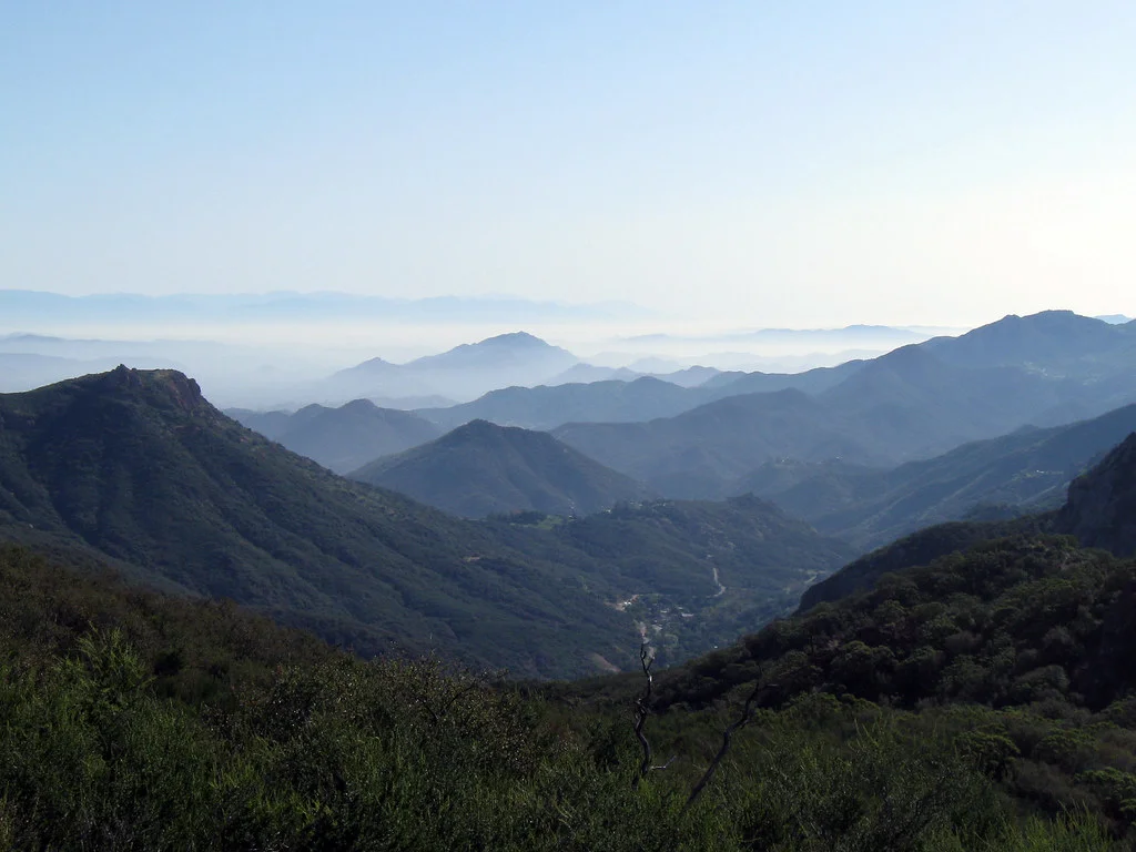 Image courtesy of Creative Commons