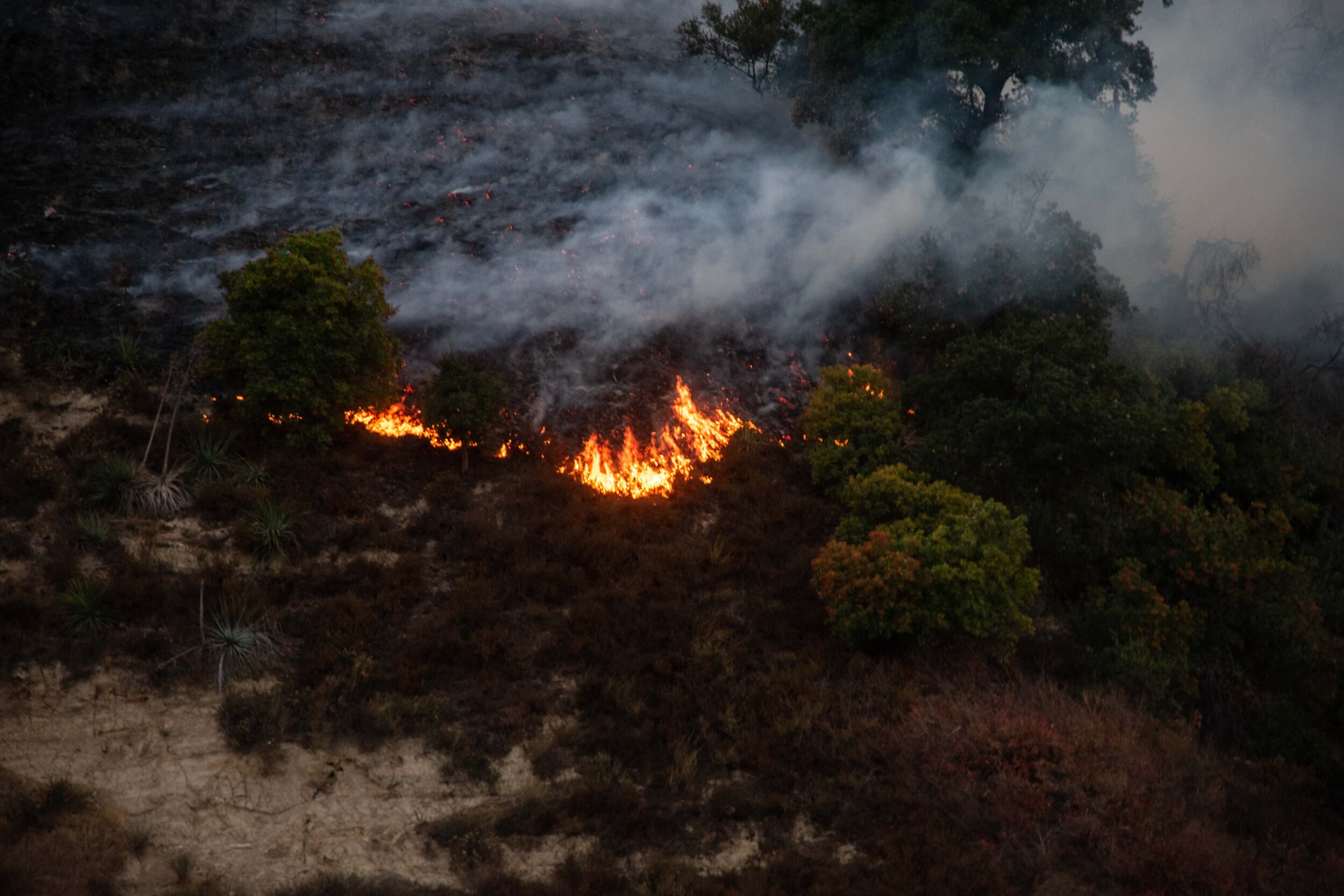  Part of the Saddlerige Fire just off interstate 5 near Newhall Calif. on Friday, Oct. 11, 2019. (Conner Savage/The Corsair) 