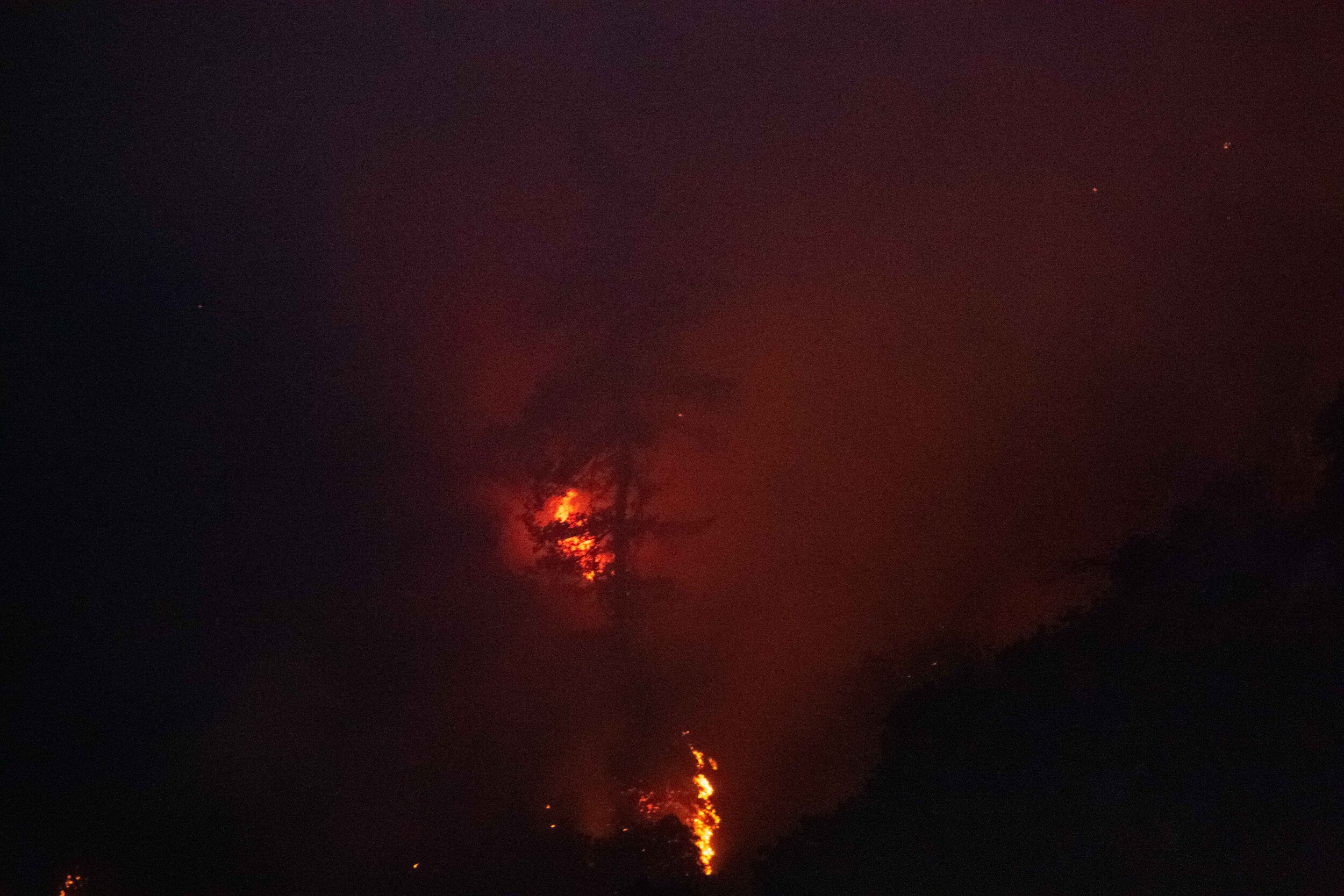  A tree dimly illuminated by a portion of the Saddlerige fire just off interstate 5 near Newhall Calif. on Friday, Oct. 11 2019. (Conner Savage/The Corsair) 