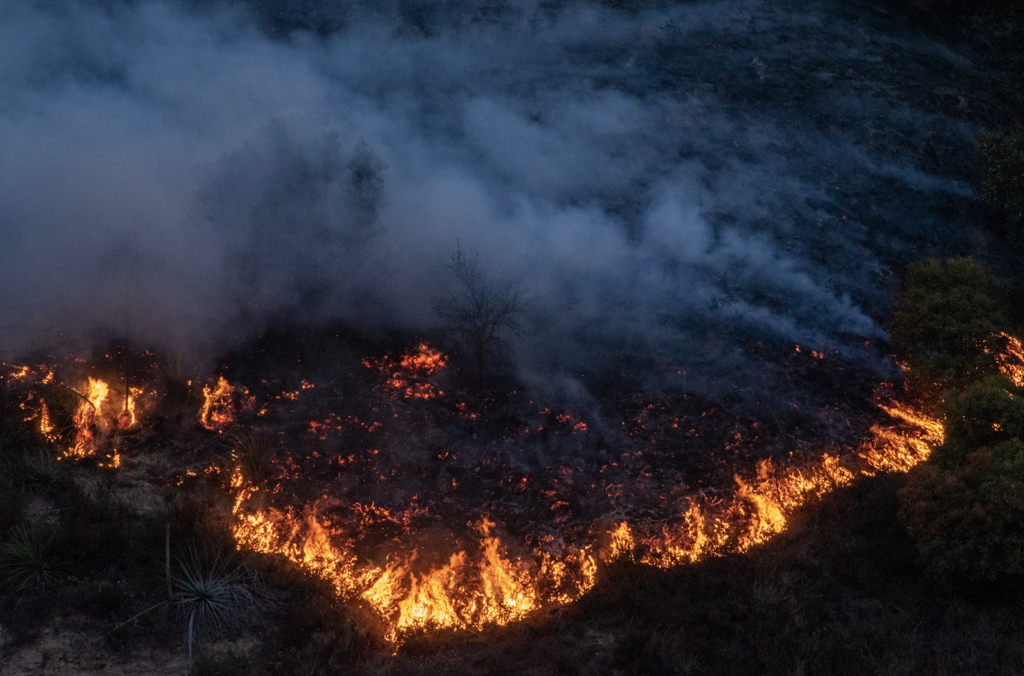 Brush fires blaze up the side of a hill in Sylmar, Calif. as part of the Saddleridge Fire on Friday, Oct. 11, 2019. (Randy Martinez/The Corsair)