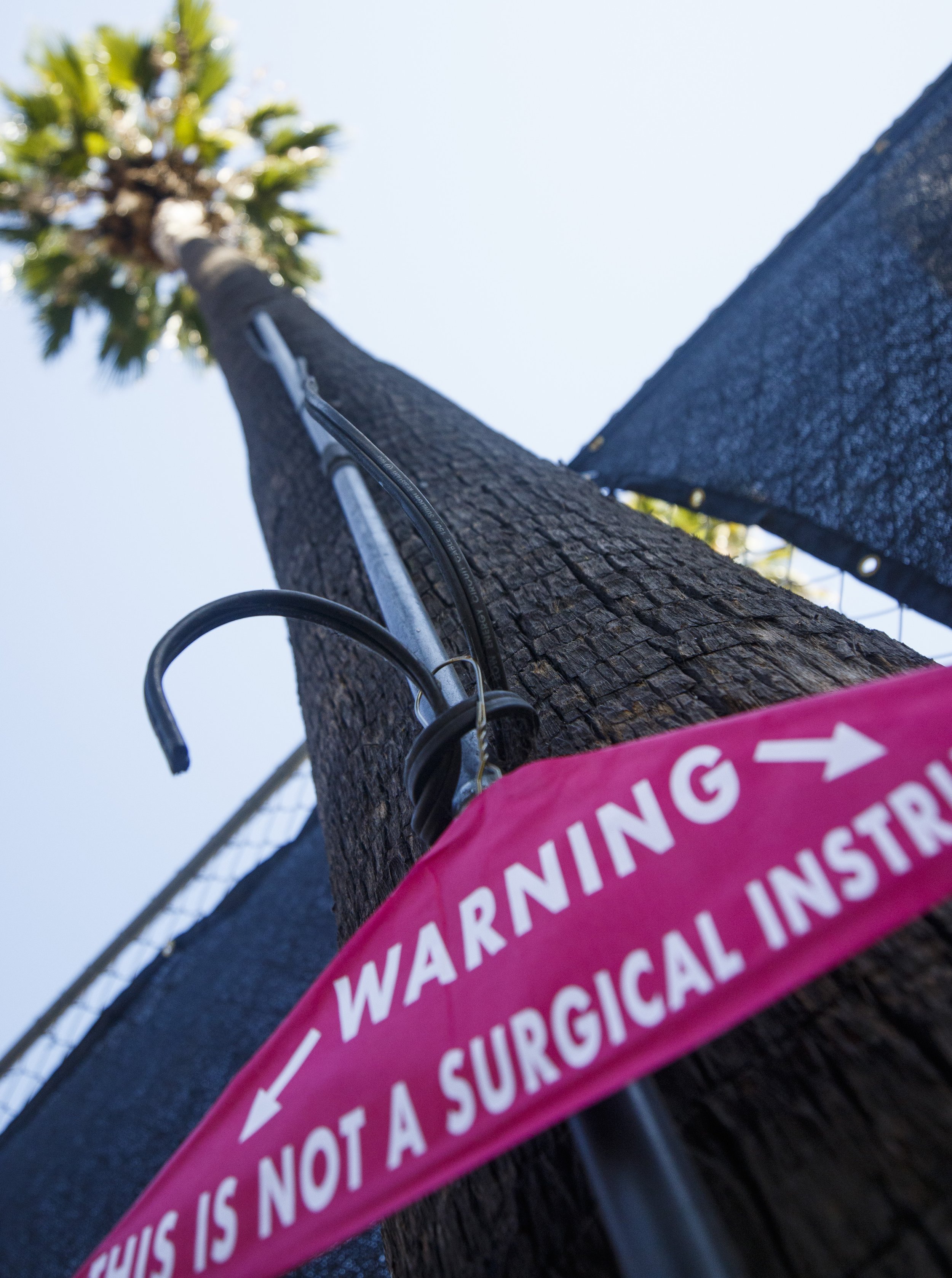  Wire coat hanger hangs on the side of a palm tree reading #noban on the other side In reference to the recent band of abortions in Texas. The coat hanger brought by many demonstrators to the words for women's reproductive rights in downtown Los Ange