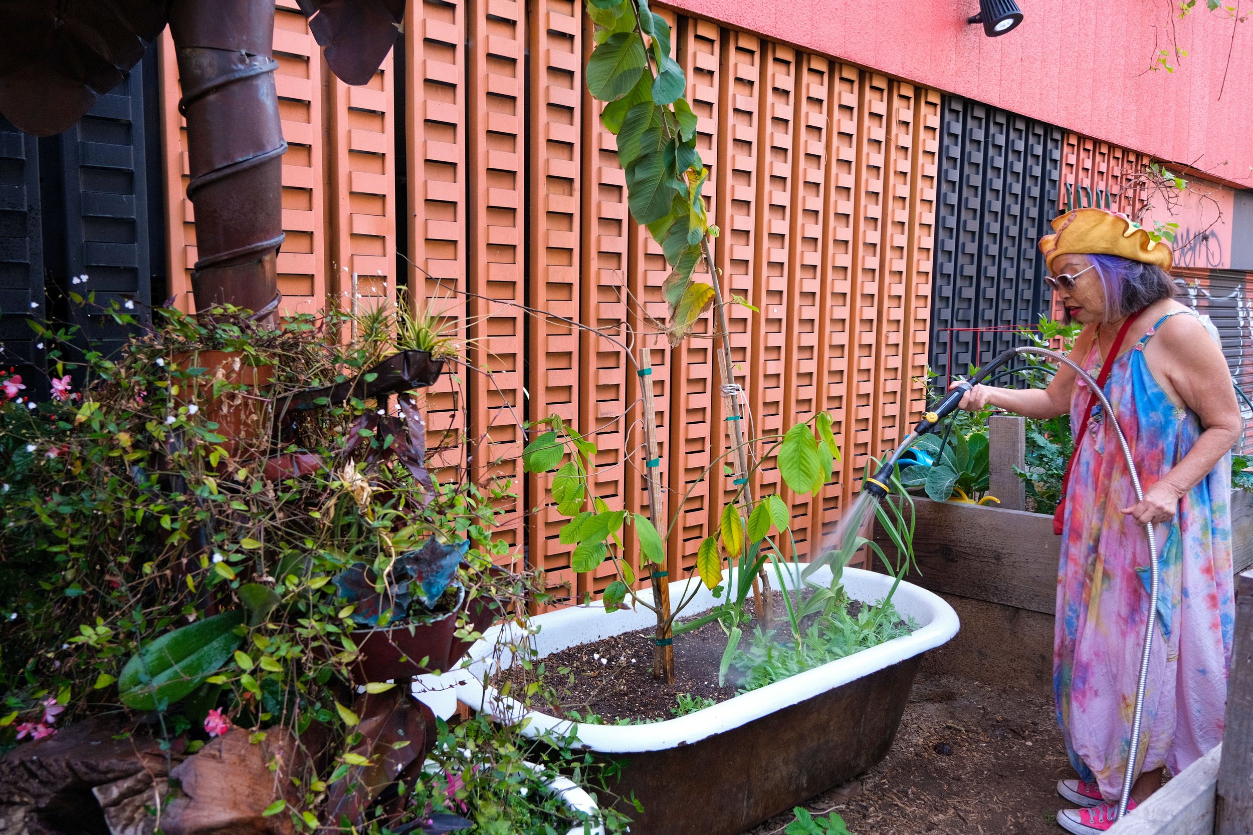 Rain Boe Wave waters plants that have been planted inside of an old bathtub. “By summertime, there will be poppies blooming from here,” Waves said. Spring Street Community Garden in Downtown Los Angeles on Monday, March 21, 2022. (Anna Sophia Moltke