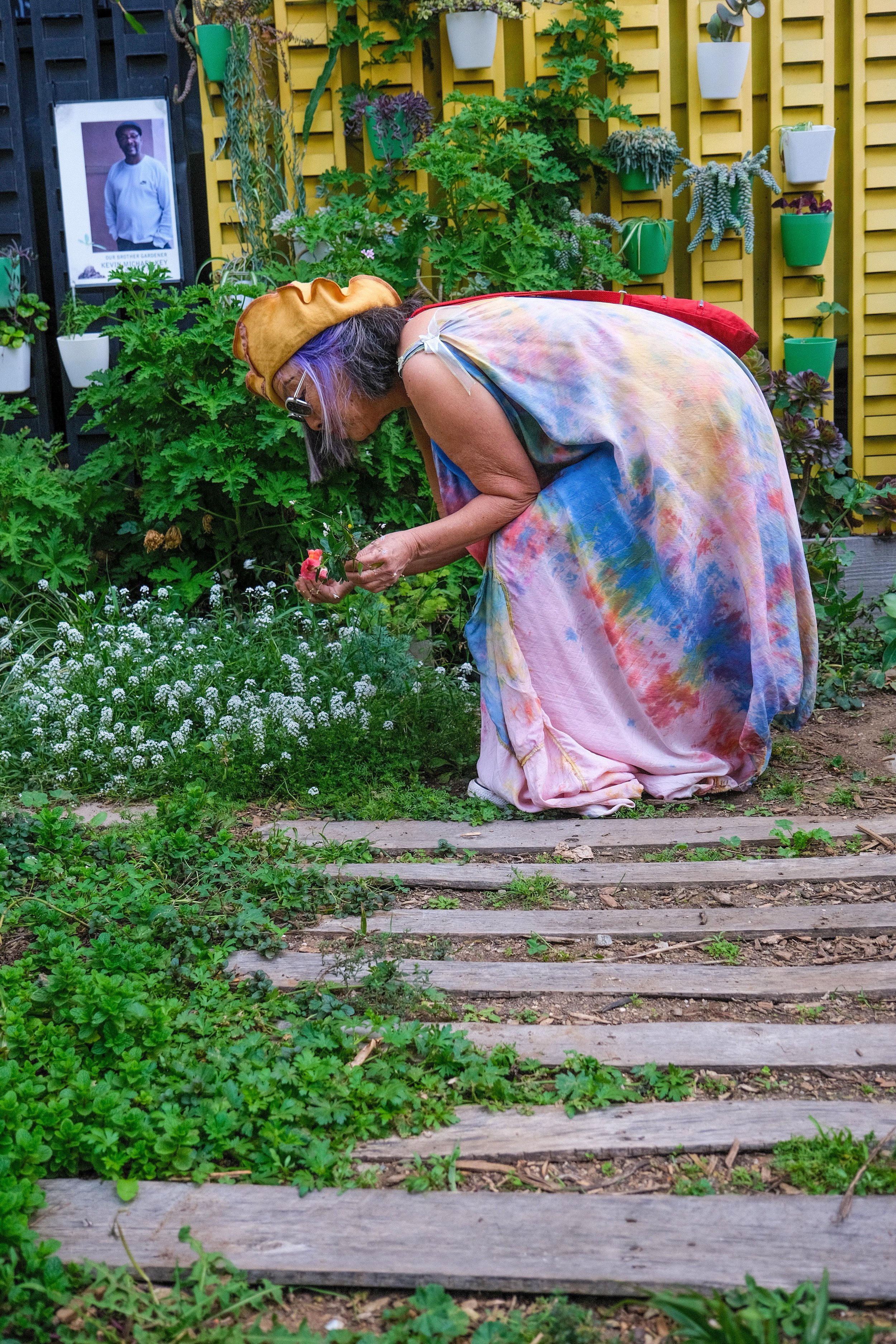  Rain Boe Wave picks more flowers to add to her bouquet. These flowers have a distinct caramel-like scent.Spring Street Community Garden in Downtown Los Angeles on Monday, March 21, 2022. (Anna Sophia Moltke | The Corsair) 