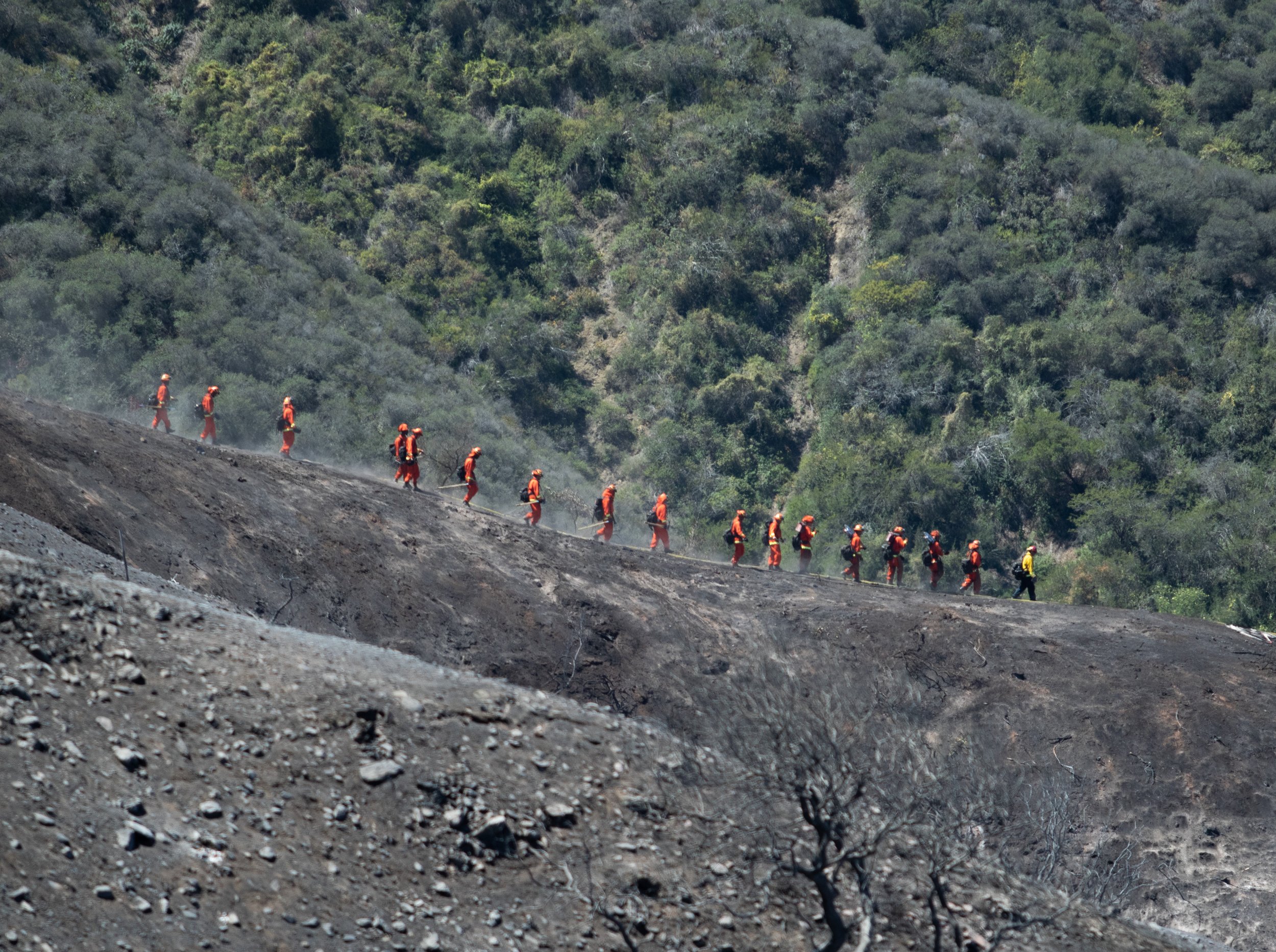  Incarcerated Firefighters walking down to hill to help mitigate any hotspots on Fri. May 13, 2022 at Laguna Niguel, Calif. (Danilo Perez | The Corsair) 