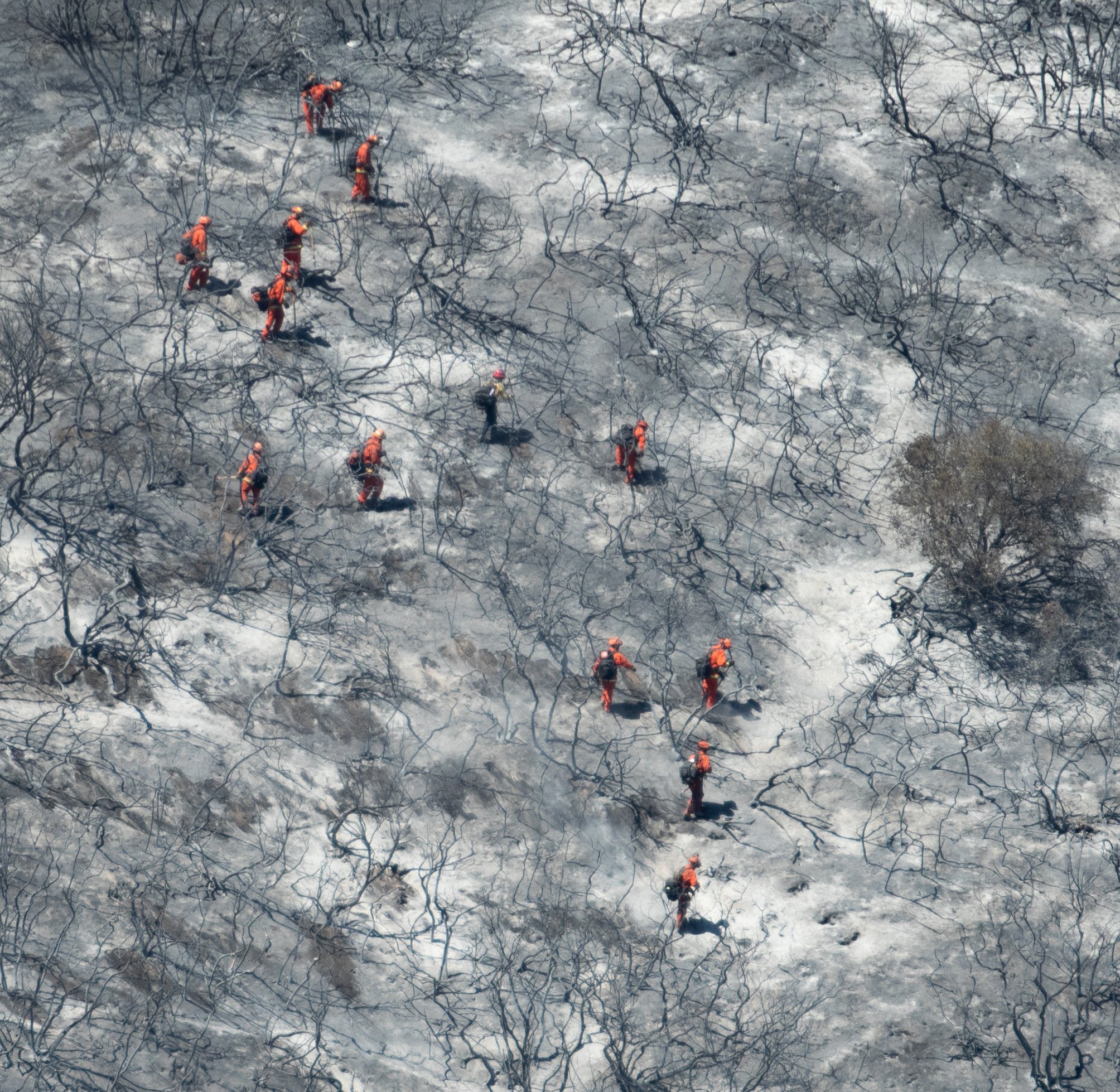  Incarcerated Firefighters mitigating hotspots in the hills on Fri. May 13, 2022 at Laguna Niguel, Calif. (Danilo Perez | The Corsair) 