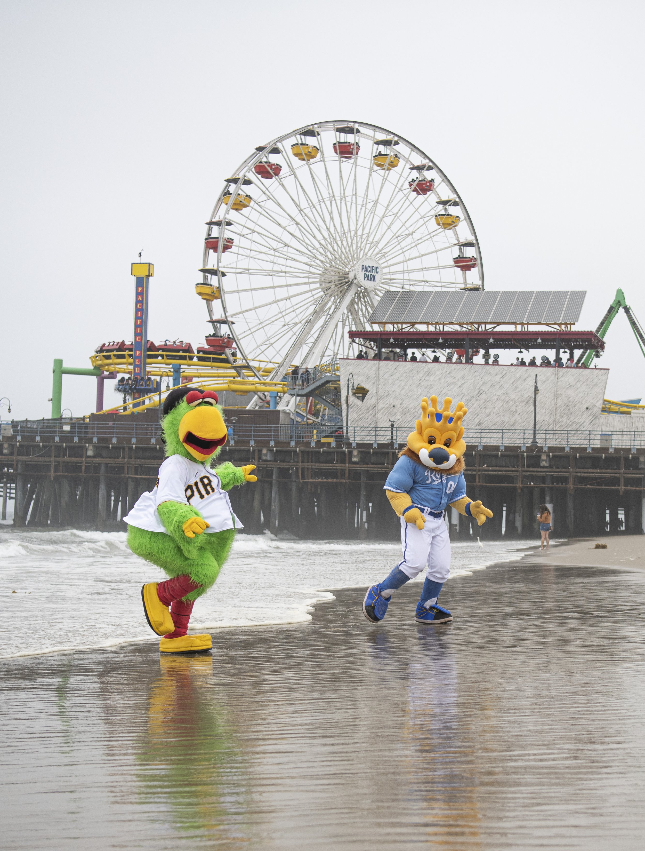  Pirate Parrot (left) and Sluggerrr the Kansas City Royals Mascott flee as the water approaches them in front of the Santa Monica Pier. (Jon Putman | The Corsair) 