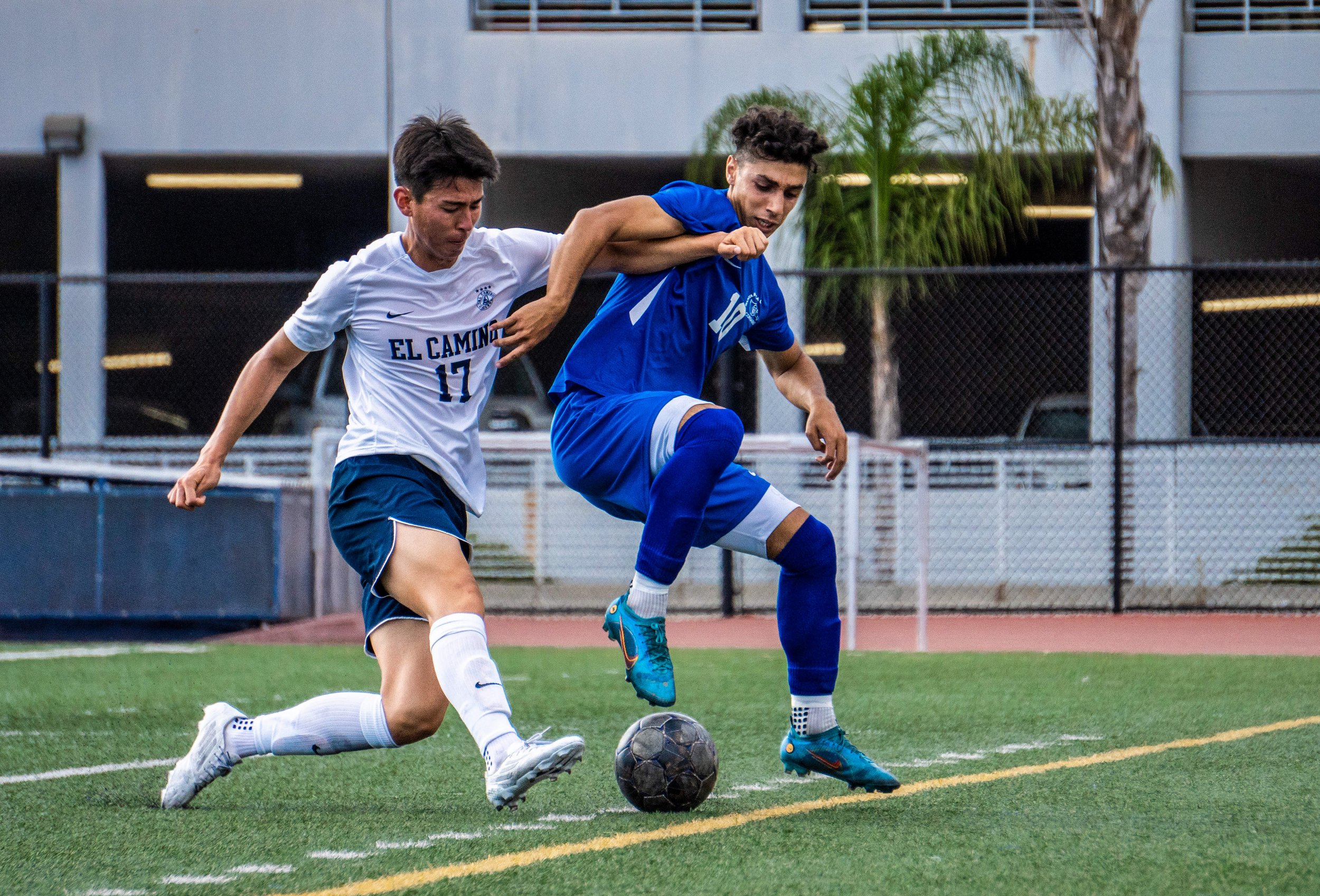  Arms entangled El Camino College Warrior Brian Park (17) and Santa Monica College Corsairs Roey Kivity (10) fight midair for the ball’s possession during the second half of the game. The Corsairs brought the game home, beating the Warriors 3 to 2. T
