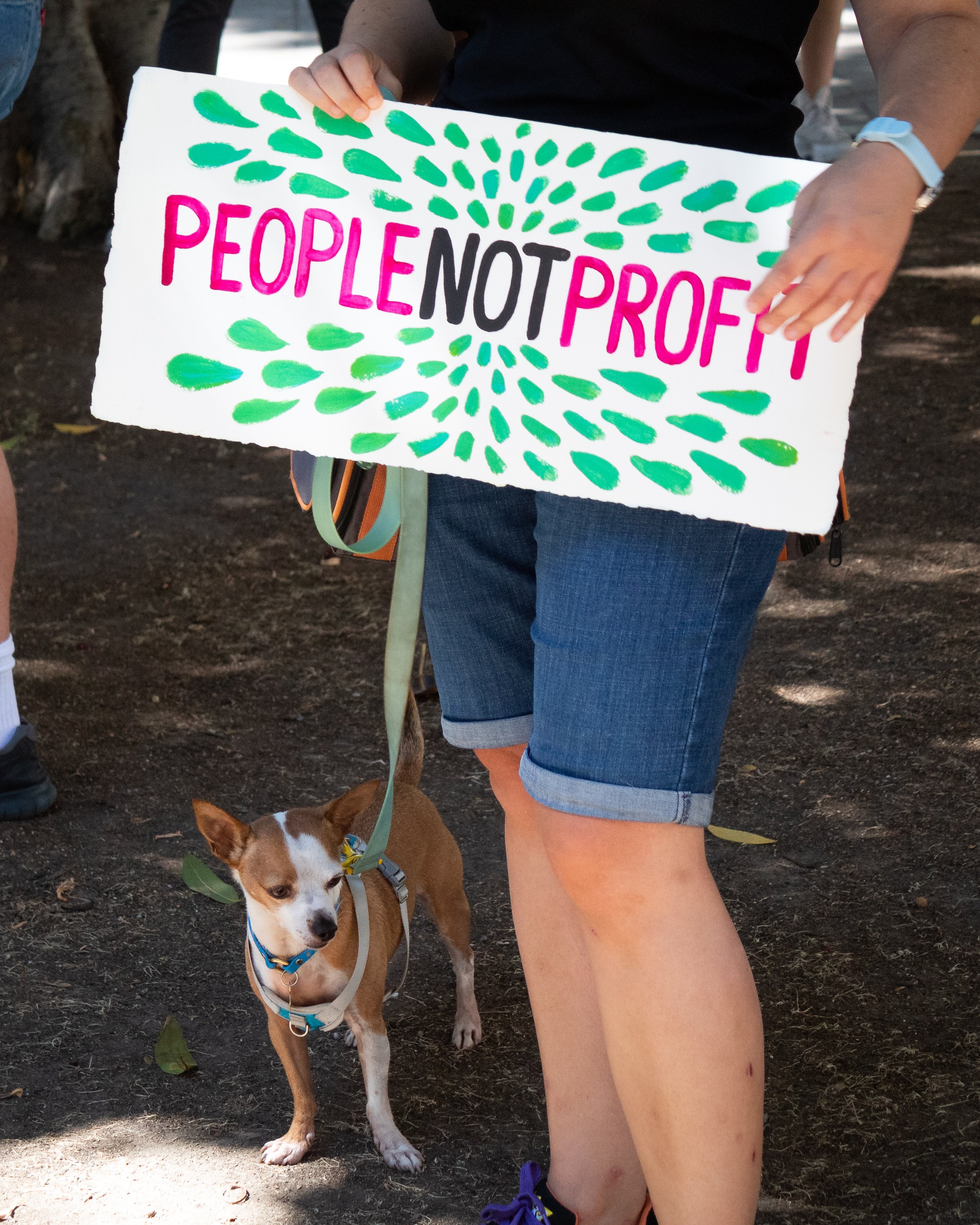  Sarah Chalek holding a sign which reads, "People Not Profit," with her dog, Little Prince, at the Youth Climate Strike at the Los Angeles City Hall. She went to the strike because "we made some advances for the climate but I think people need to sta