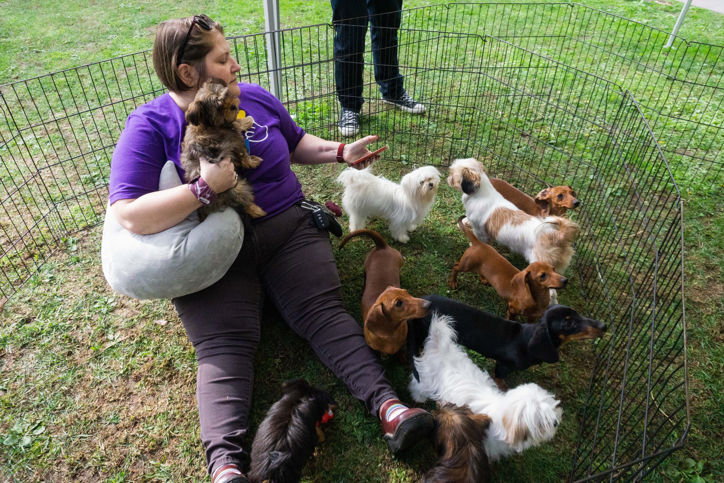  Angela Bice, Community and Academic Relations Adviser at the "Pre Finals Chill Out" at Santa Monica college main campus students petting puppies. on December 6, 2022, in Santa Monica, Calif.(Daniel De Anda | The Corsair 
