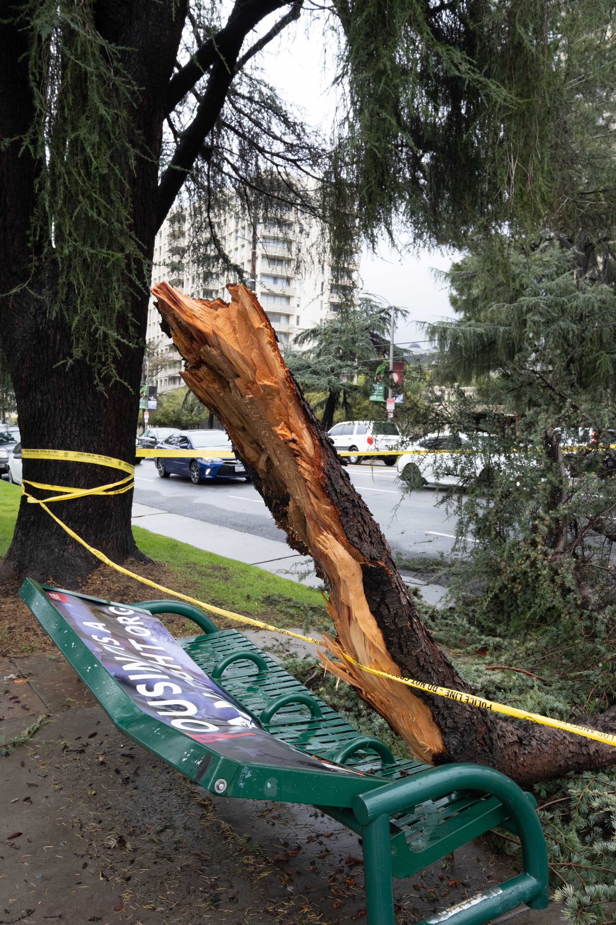  Historic winter storms hit Southern California this week. Between Friday, February 24 and Saturday, February 25, 2023, a large tree branch fell, crushing the bus stop bench beneath it on Los Feliz Boulevard at Commonwealth Avenue in Los Feliz, Calif