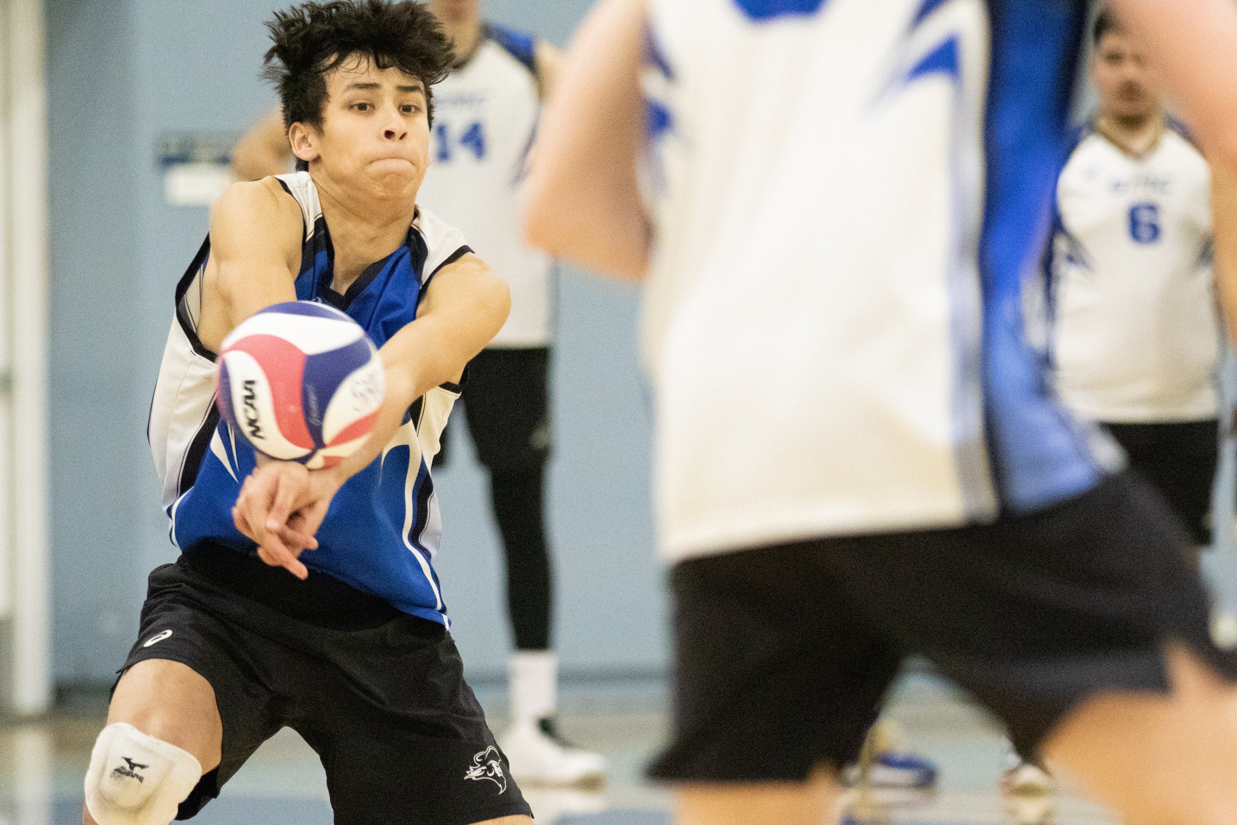  Santa Monica College Corsair libero Javier Castillo (7) hitting the ball after it was served by Long Beach City College Vikings during the first set of a home game in Santa Monica, Calif., on Friday, March 3, 2023. The game resulted in the Corsair's