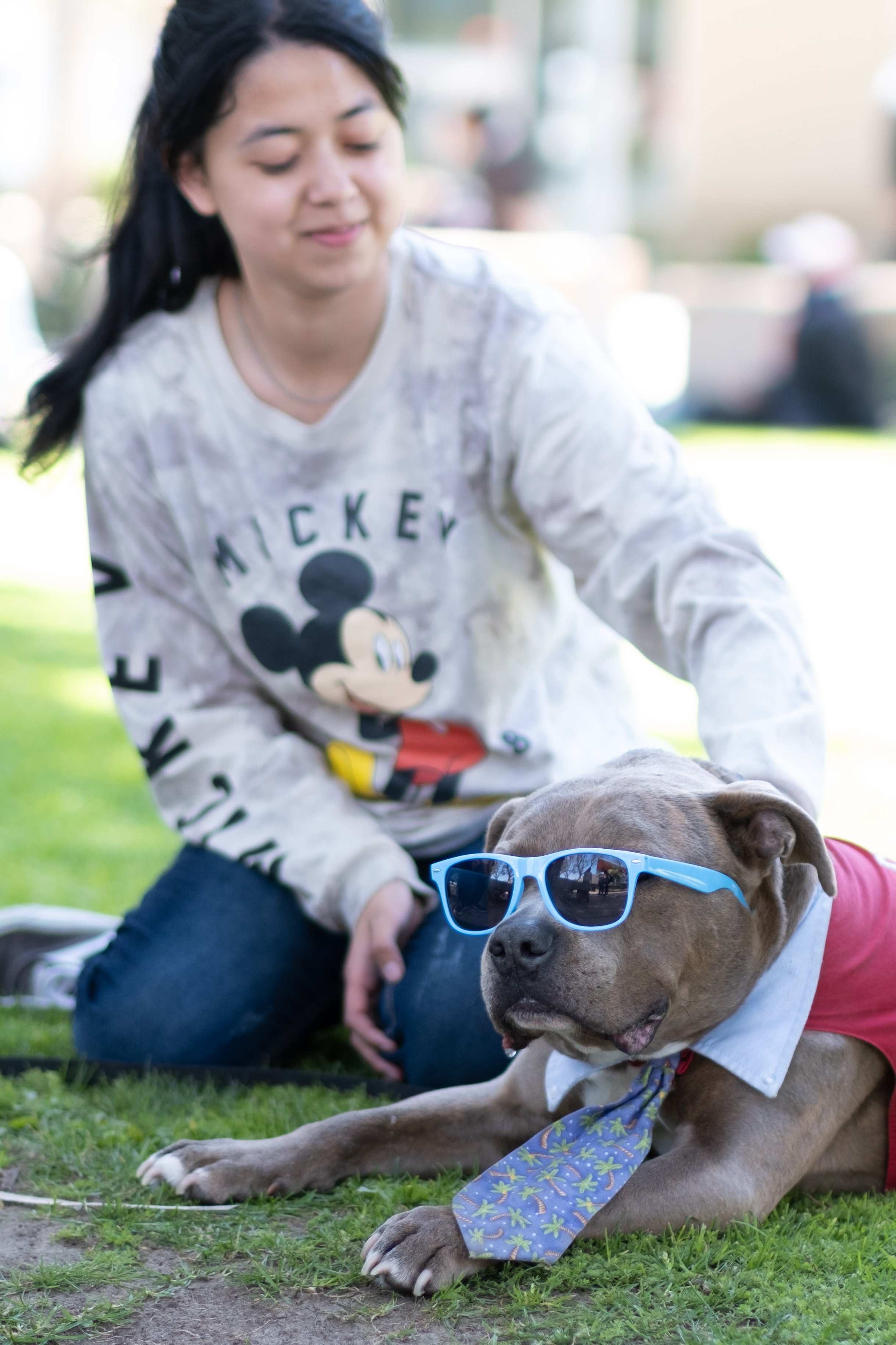  Emily Benavides, Law major, pets Rusty, an American Staffordshire Terrier therapy dog, on the Quad during midterm week at Motivational Madness, an event for students to relax and take a break from studying on Tuesday, March 4th, 2023 at Santa Monica