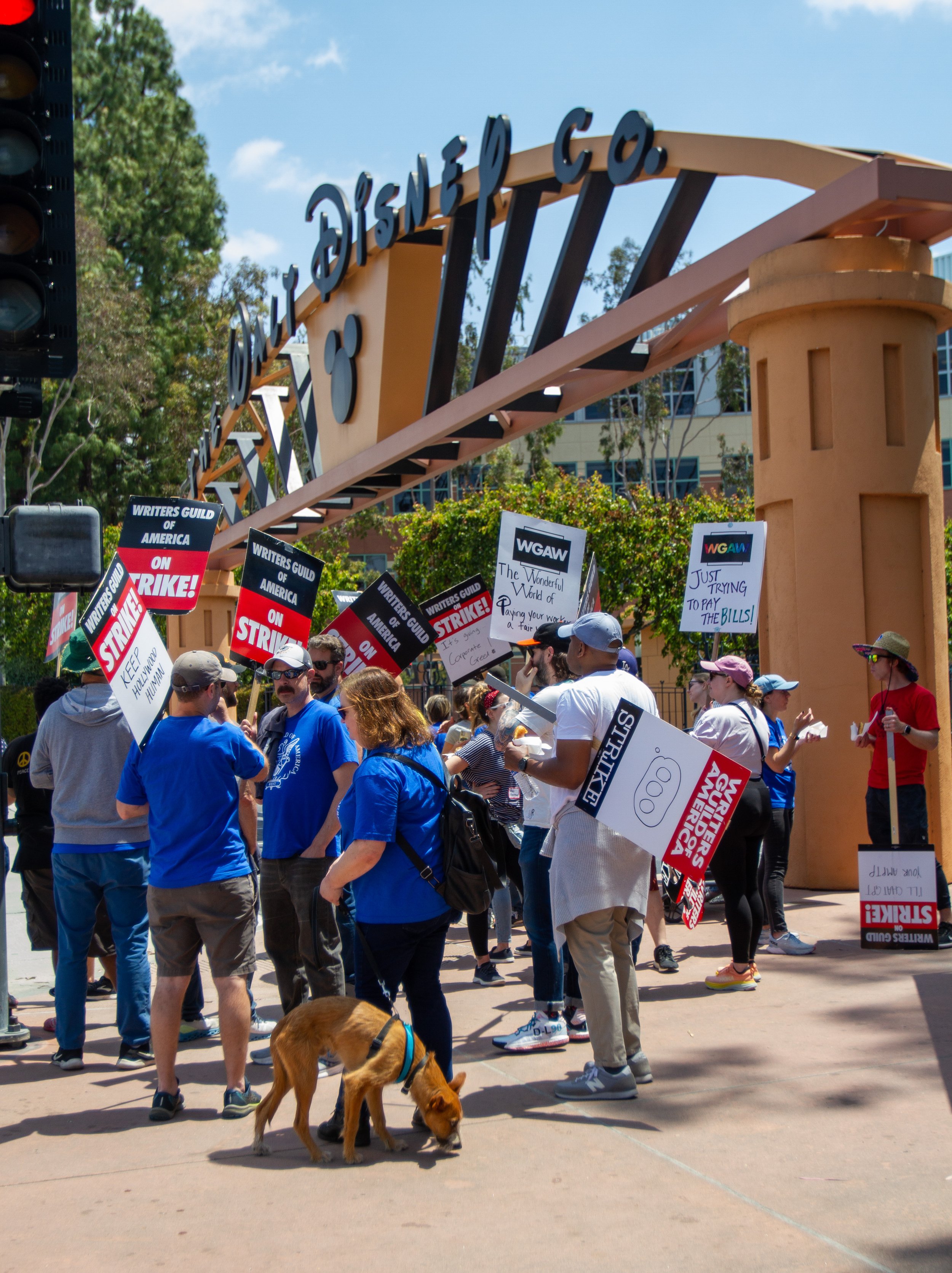  Writers Guild of America members picketing Wednesday, May 10, 2023 at The Walt Disney Studios in Burbank, Calif. (Baleigh O'Brien | The Corsair) 