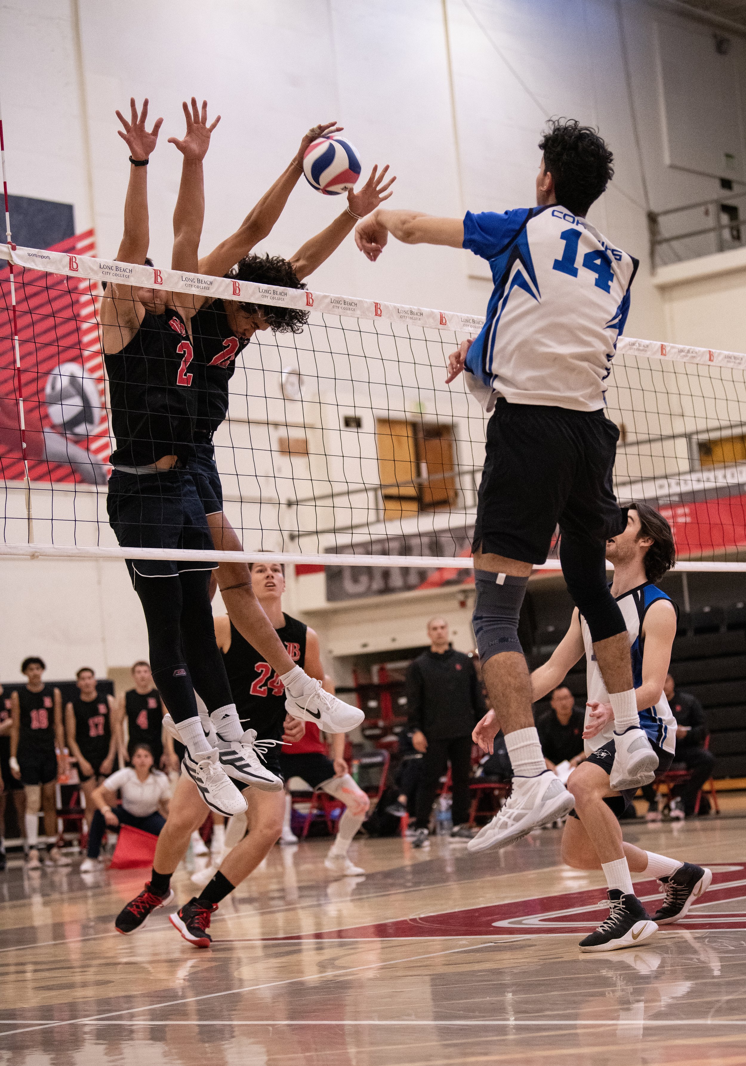  Santa Monica College Corsair men’s volleyball State Playoffs 1st Round game vs Long Beach City College Vikings men’s volleyball. Friday April 21, 2023 at Vikings Gym in Long Beach California. Santa Monica College Corsair men’s volleyball put up a ha