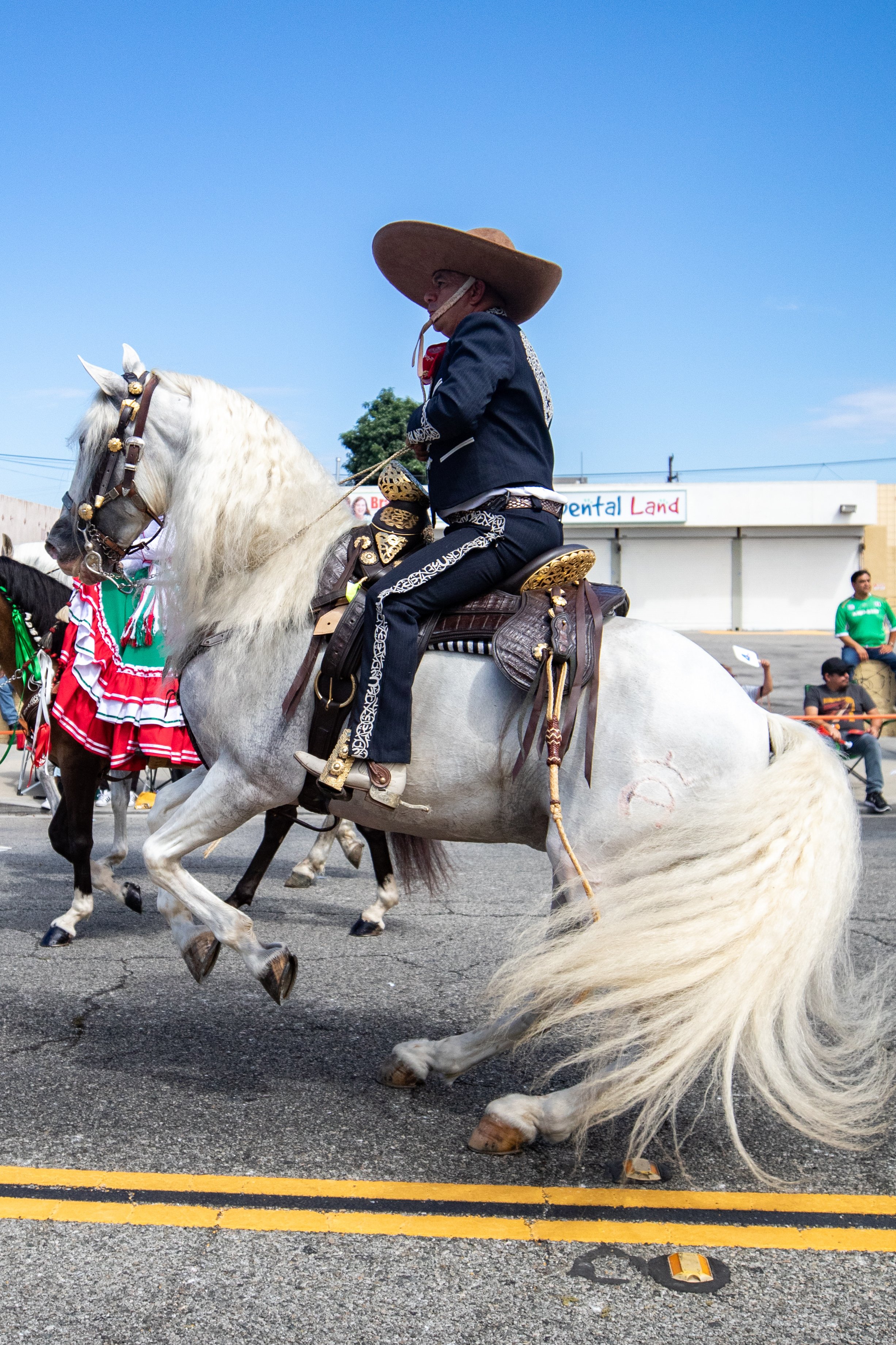  Even the horses showed off their dance moves as they marched in the Mexican Independence Day Parade in East Los Angeles on Sunday, Sept. 10th, 2023. (Akemi Rico | The Corsair) 