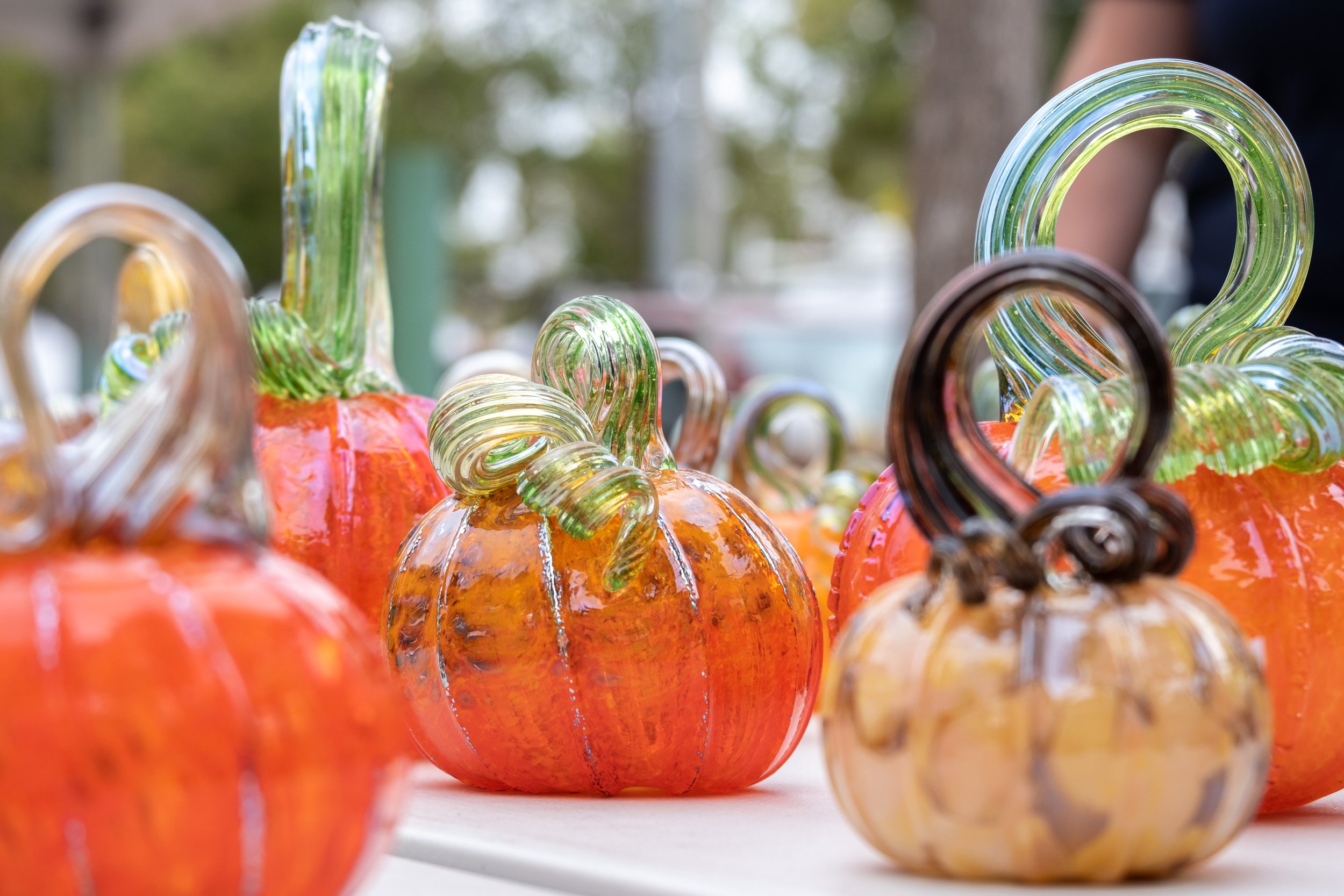  Pumpkins made of glass in multiple colors grace the display tables at the Santa Monica College Glass Pumpkin Sale in Virginia Avenue Park in Santa Monica, Calif. on Saturday, Sept. 30th, 2023. (Akemi Rico | The Corsair) 