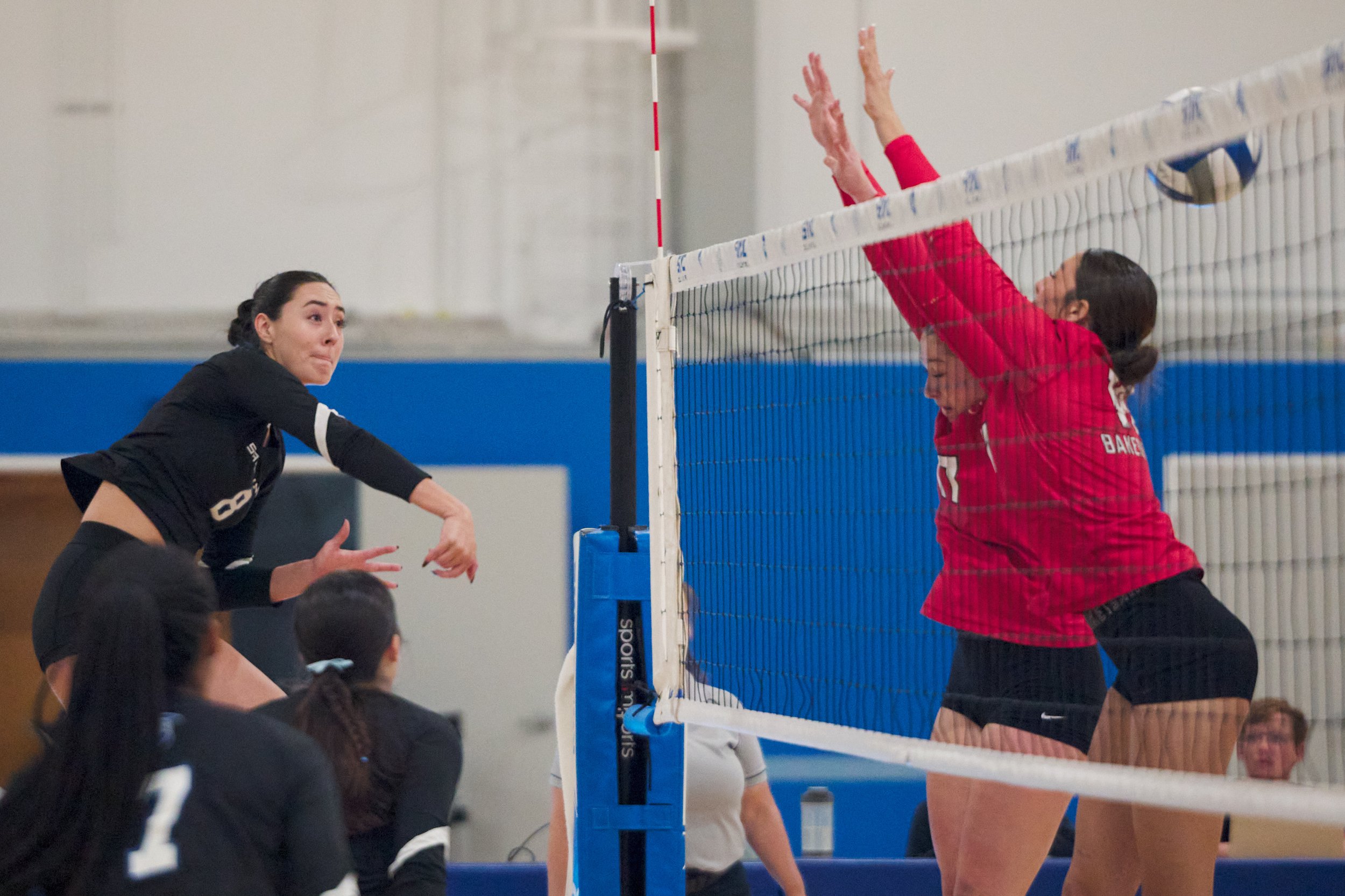  Santa Monica College Corsairs' Natalie Fernandez hits the ball past Bakersfield College Renegades' Aubree Dees and Haley Tedrow, scoring a kill, during the women's volleyball match on Wednesday, Nov. 1, 2023, at Corsair Gym in Santa Monica, Calif. T