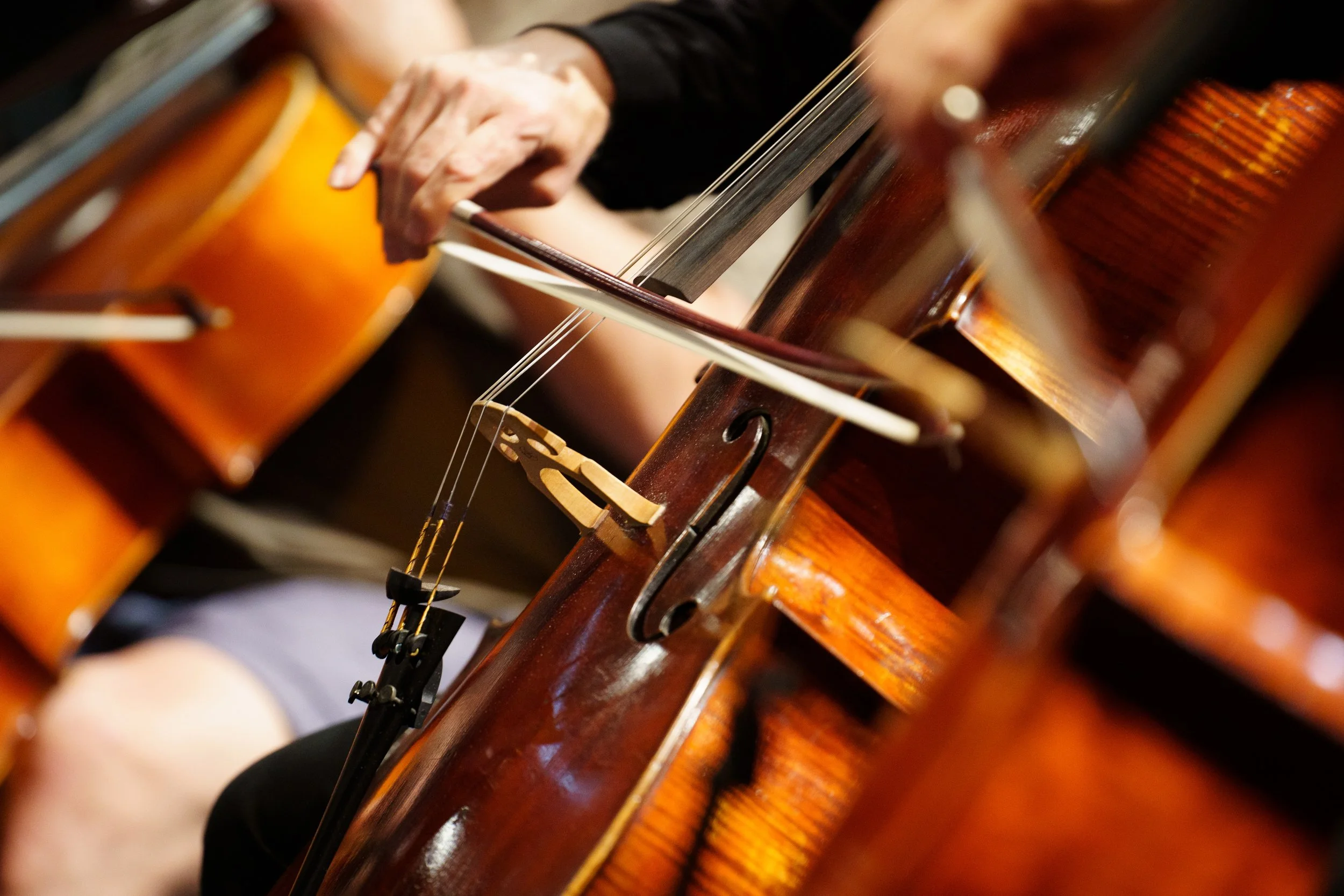 The cello section of Orchestra Santa Monica dress rehearses their "Classical Jukebox" concert program for the same day's performance at BroadStage on September 7, 2025 in Santa Monica, Calif. (Elizabeth Bacher | The Corsair)