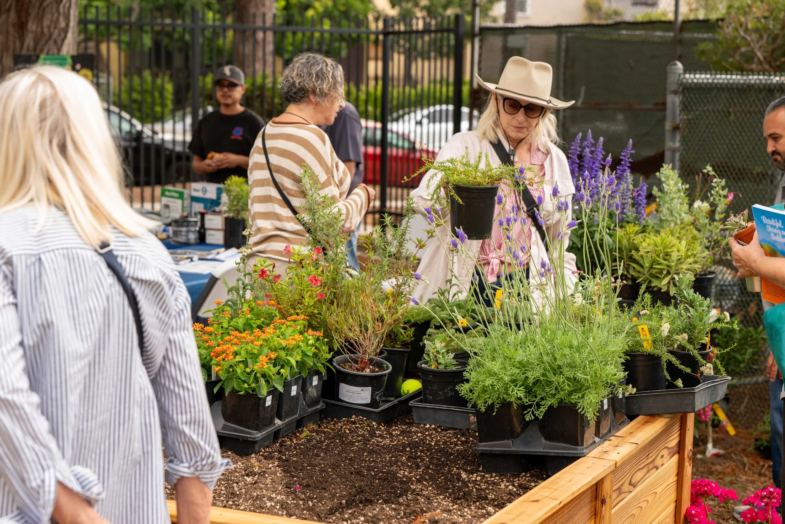 Participants examine the free plants being given away at the Sustainability Landscape Expo at Miles Playhouse Christine Emerson Reed park on Saturday, September 13, 2025, Santa Monica,Calif. (Tom Rosholt | The Corsair)