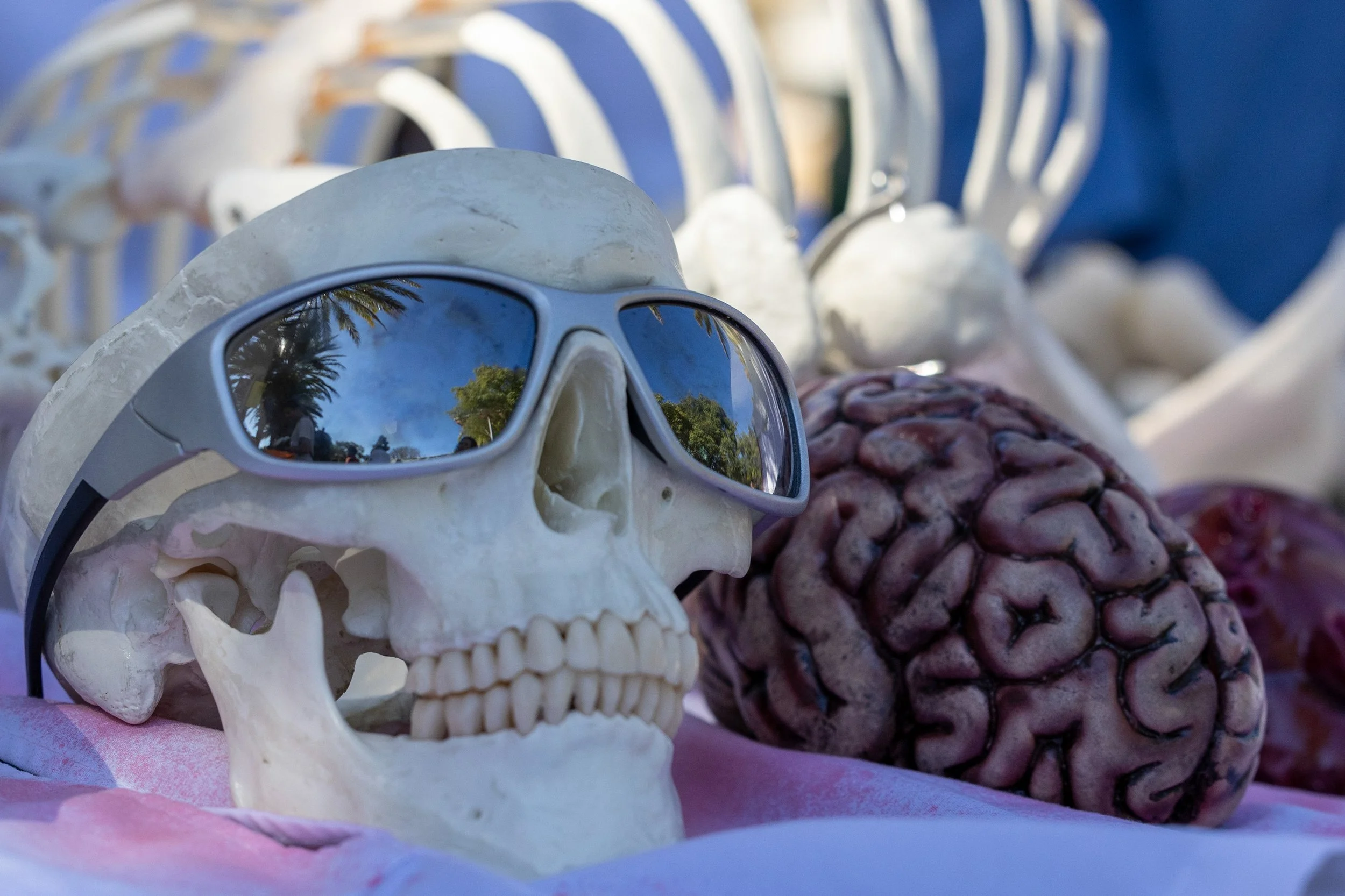 Santa Monica College (SMC) Pre-Health Professions Association (PHPA)attended with a Halloween theme during the Club Row event at the main campus of SMC in Santa Monica, Calif., on Thursday, Oct. 30, 2025. PHPA is a student-led organization dedicated