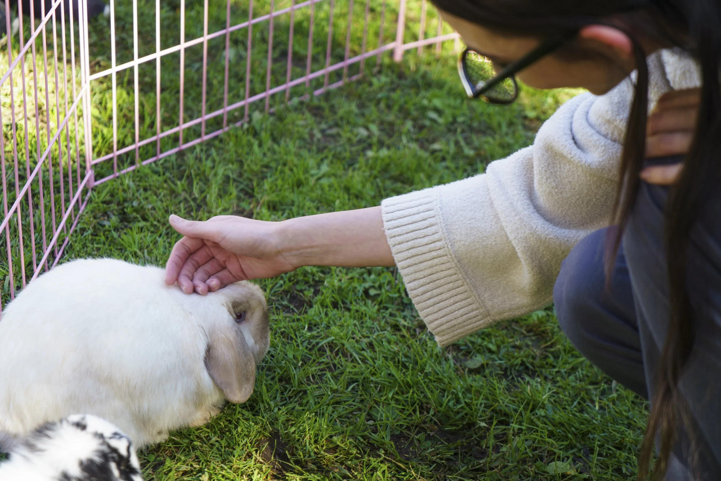  SMC student pets bunny at Santa Monica College Associated Students event were 5 students can enter bunny pit for 3 minute intervals to pet bunnies at Santa Monica College in Santa Monica, Calif., Tuesday Dec. 2, 2025, (Danny Sanchez | The Corsair) 