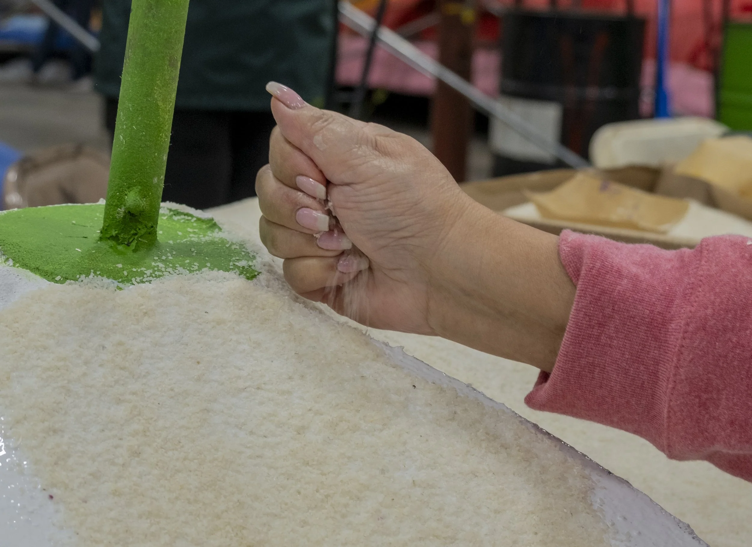  Ann Meyer, first-time volunteer, covers grind-up rice on a flower sculpture of a Rose Parade float on Friday, Dec. 26, 2025 at a warehouse in Irwindale, Calif.  (The Corsair | Fai Fong) 
