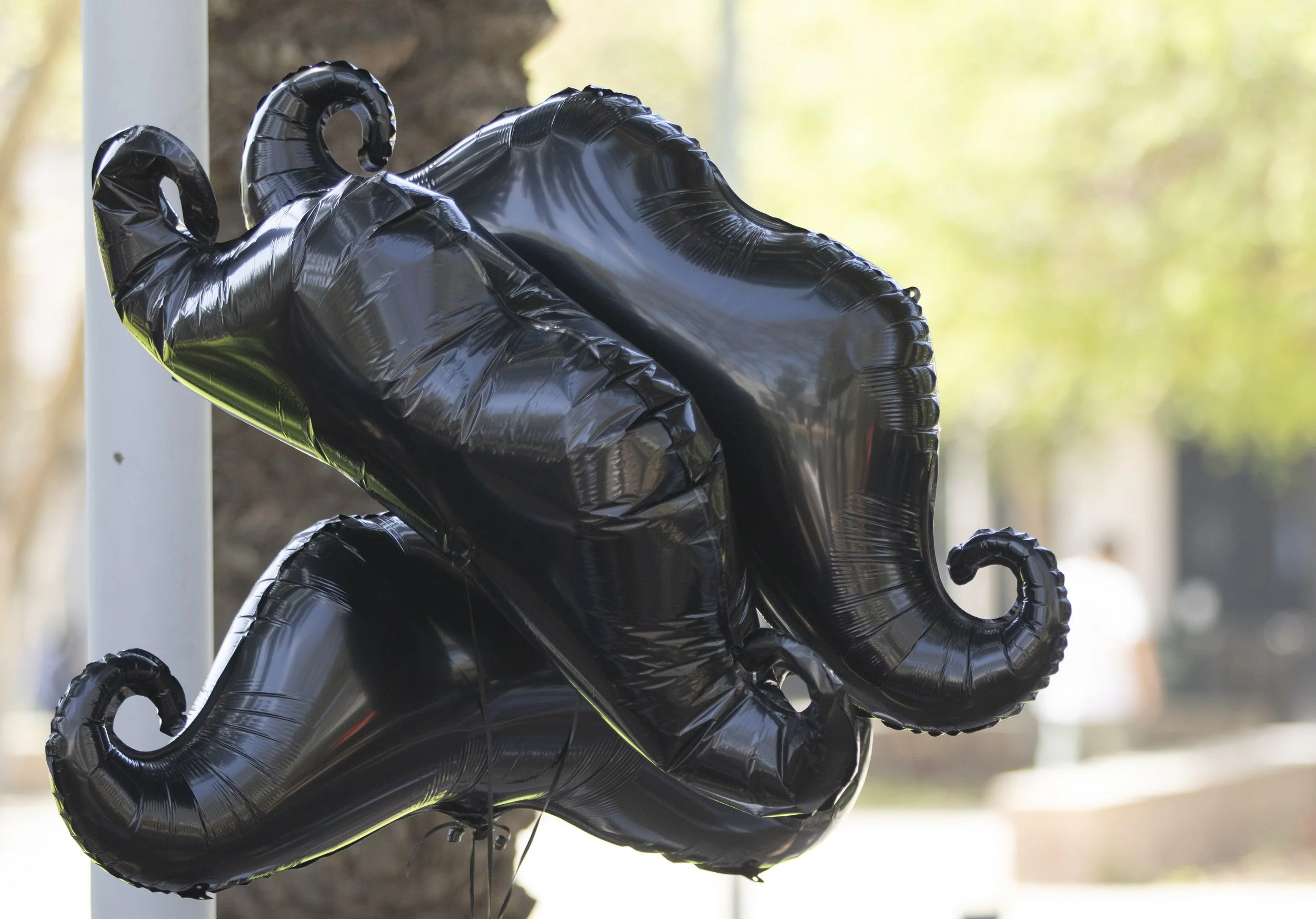  The Santa Monica College (SMC) Barber Club brought balloons to add to the festivities of Club Awarness Day at the SMC main campus on Thursday, March 26th, 2026. The club was there to promote services in the Cosmetology Department and to draw in more