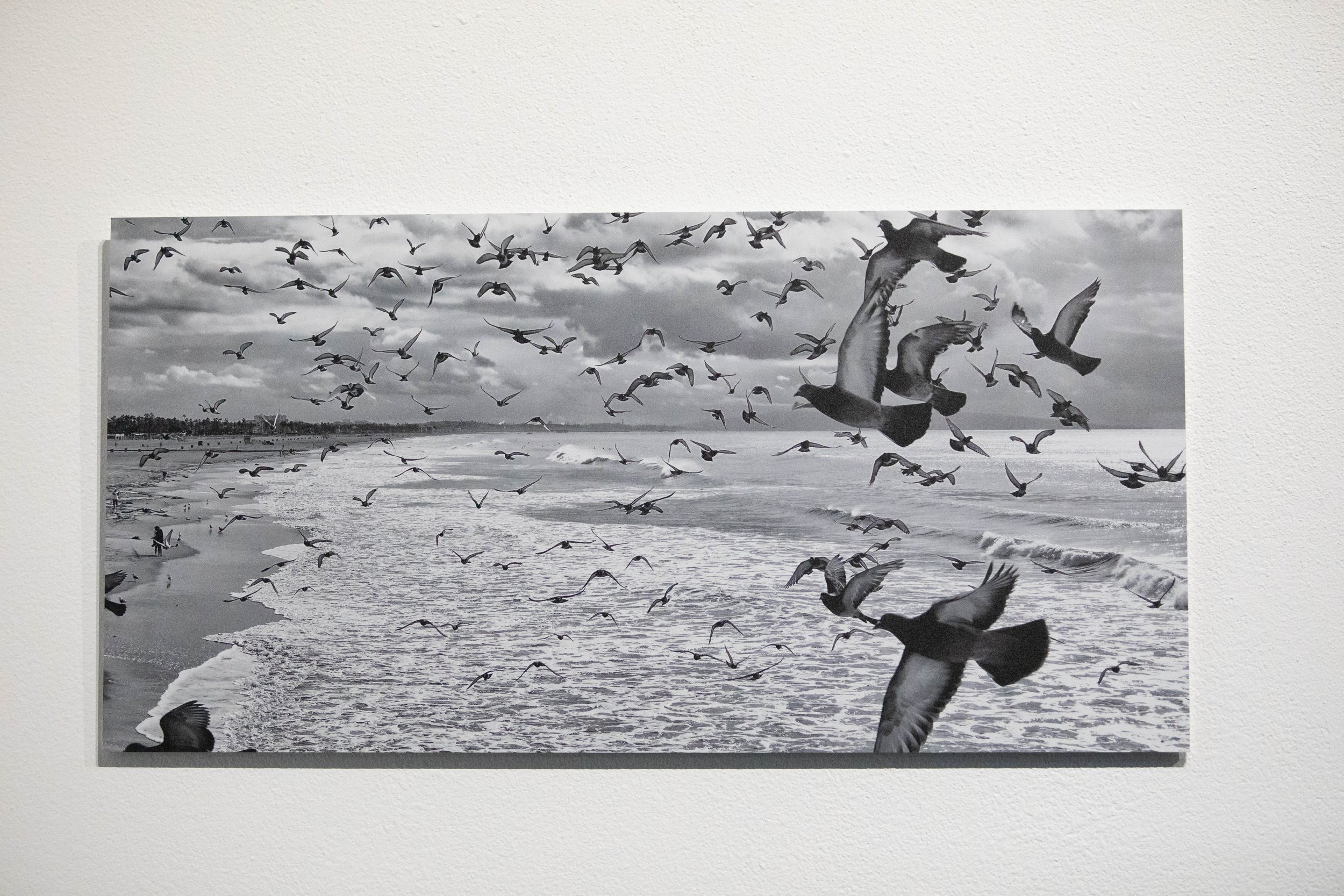  Howard Meibach's "In Flight" (Digital photograph, 2022, 10"x19.75", NFS) displayed at the Santa Monica College (SMC) Emeritus Student Photography Exhibition in Santa Monica, CA, Thursday, March 5, 2026 (Maria Lebedev | The Corsair) 