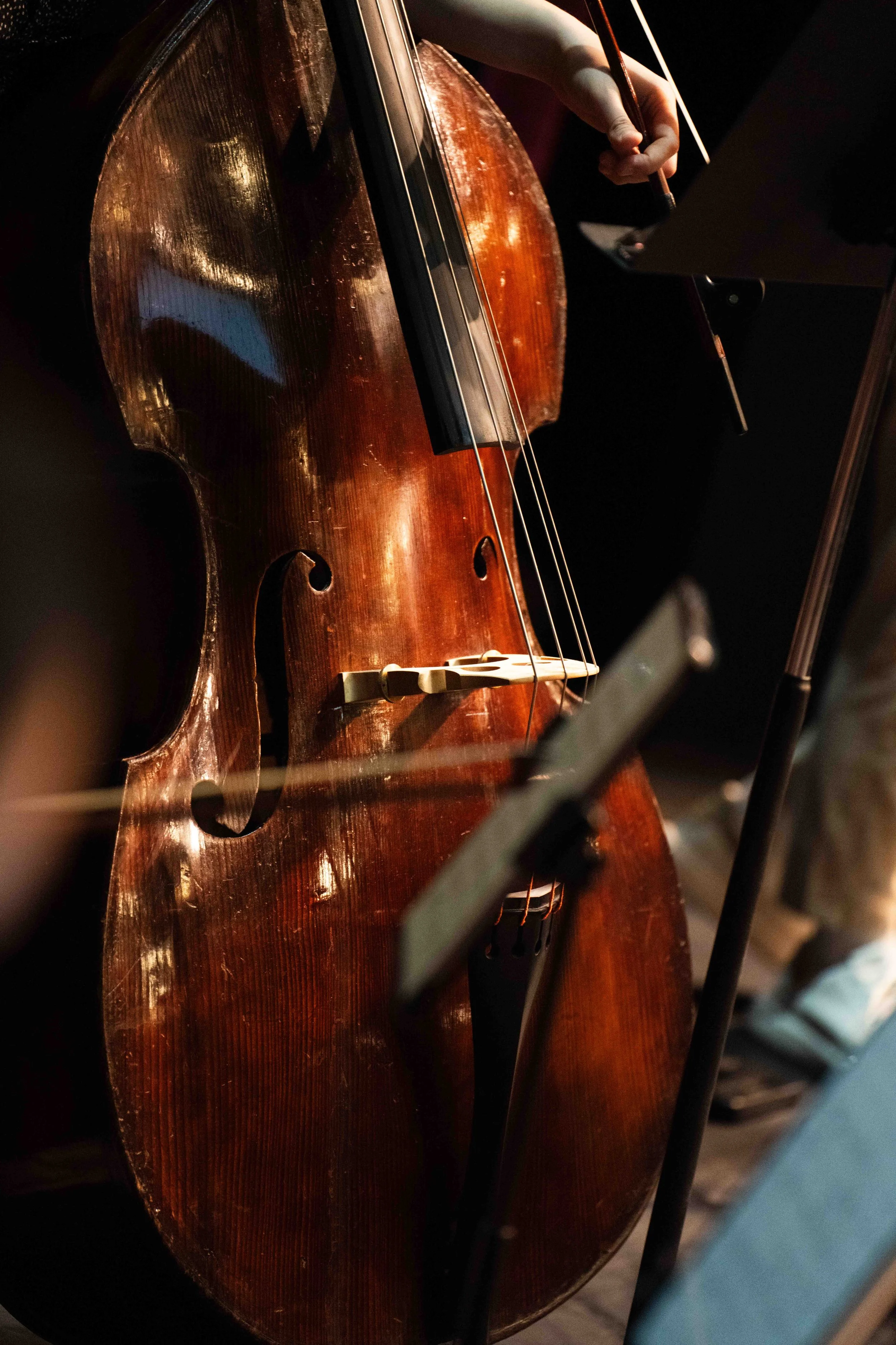  SuKyung Chun's double bass during Delirium Musicum rehearsal at Théâtre Raymond Kabbaz in Los Angeles, Wednesday, March 25, 2026. Chun began the bass at 16 in Korea after only studying cello for a year at the age of seven. She asked to play the bass