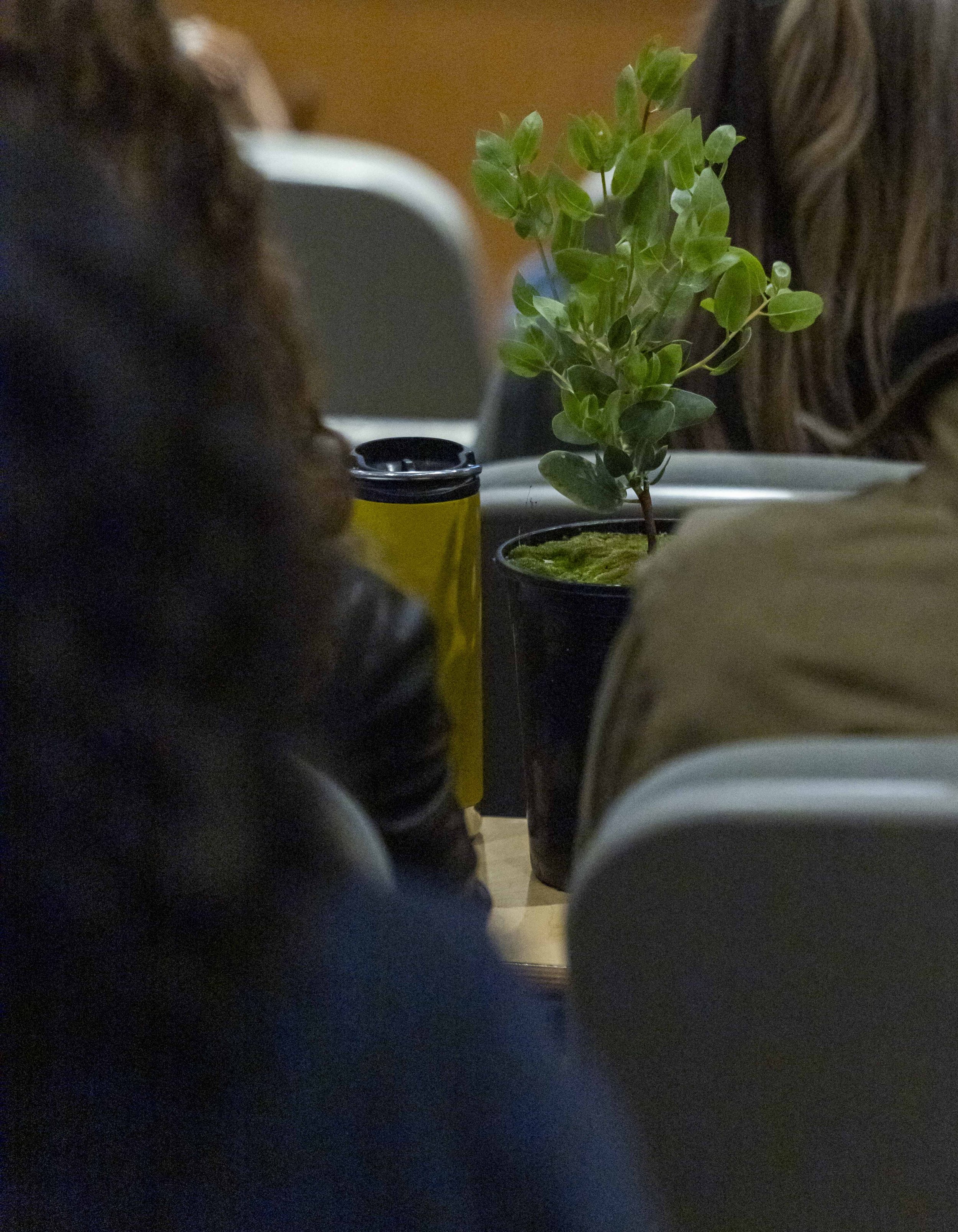  Free plants are offered to participants during a screening of Making a Mini-Forest at the Santa Monica College main campus in Santa Monica, Calif., on Thursday, April 9, 2026. The film explores how the Miyawaki method is used to create dense, fast-g