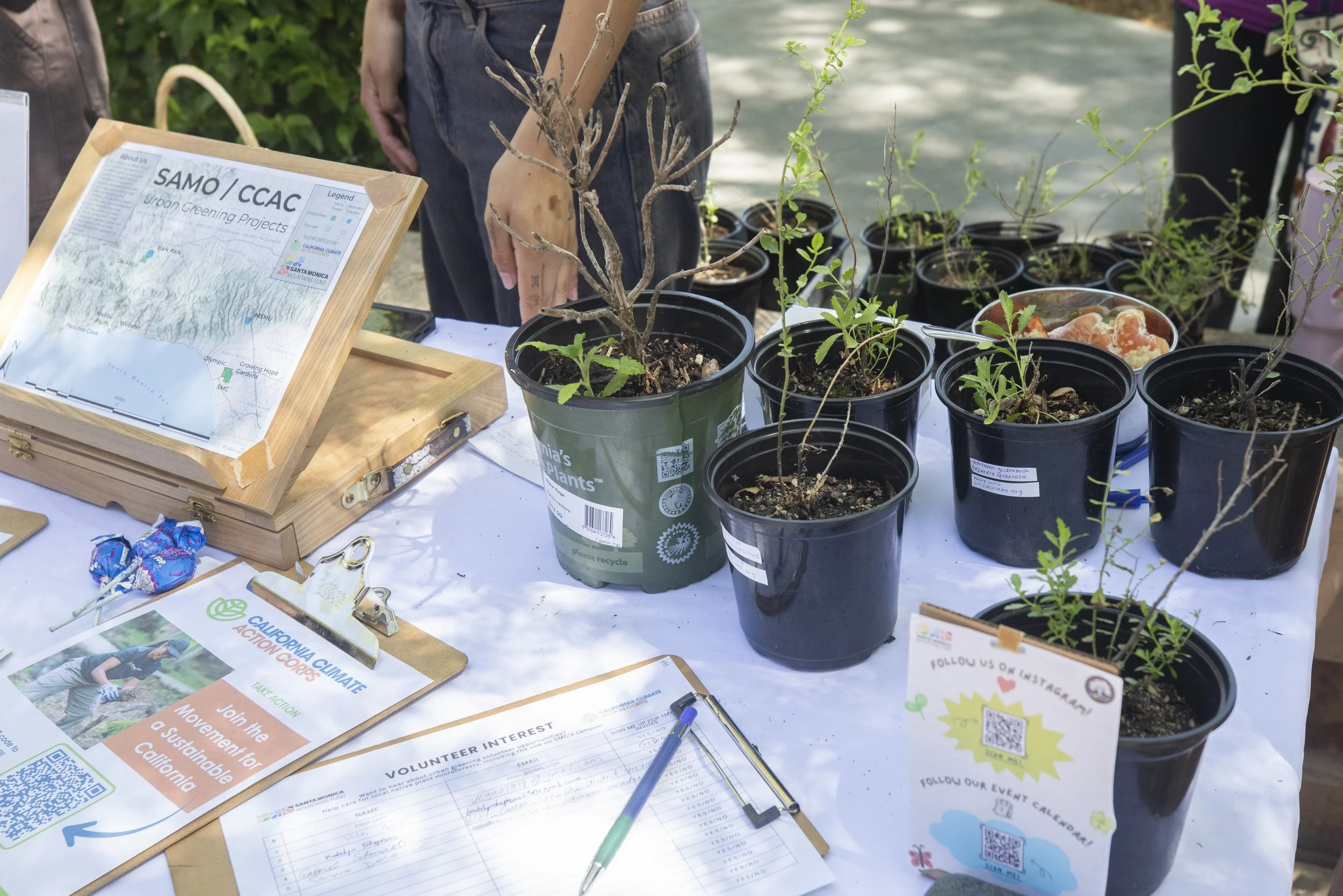  The California Climate Action Corps, partnered with Santa Monica Mountains Fund (SAMO Fund) attends the Sustainability Fest on the  Santa Monica College (SMC) main campus quad on Thursday, April 23rd, 2026. SAMO Fund hosts California Climate Action 