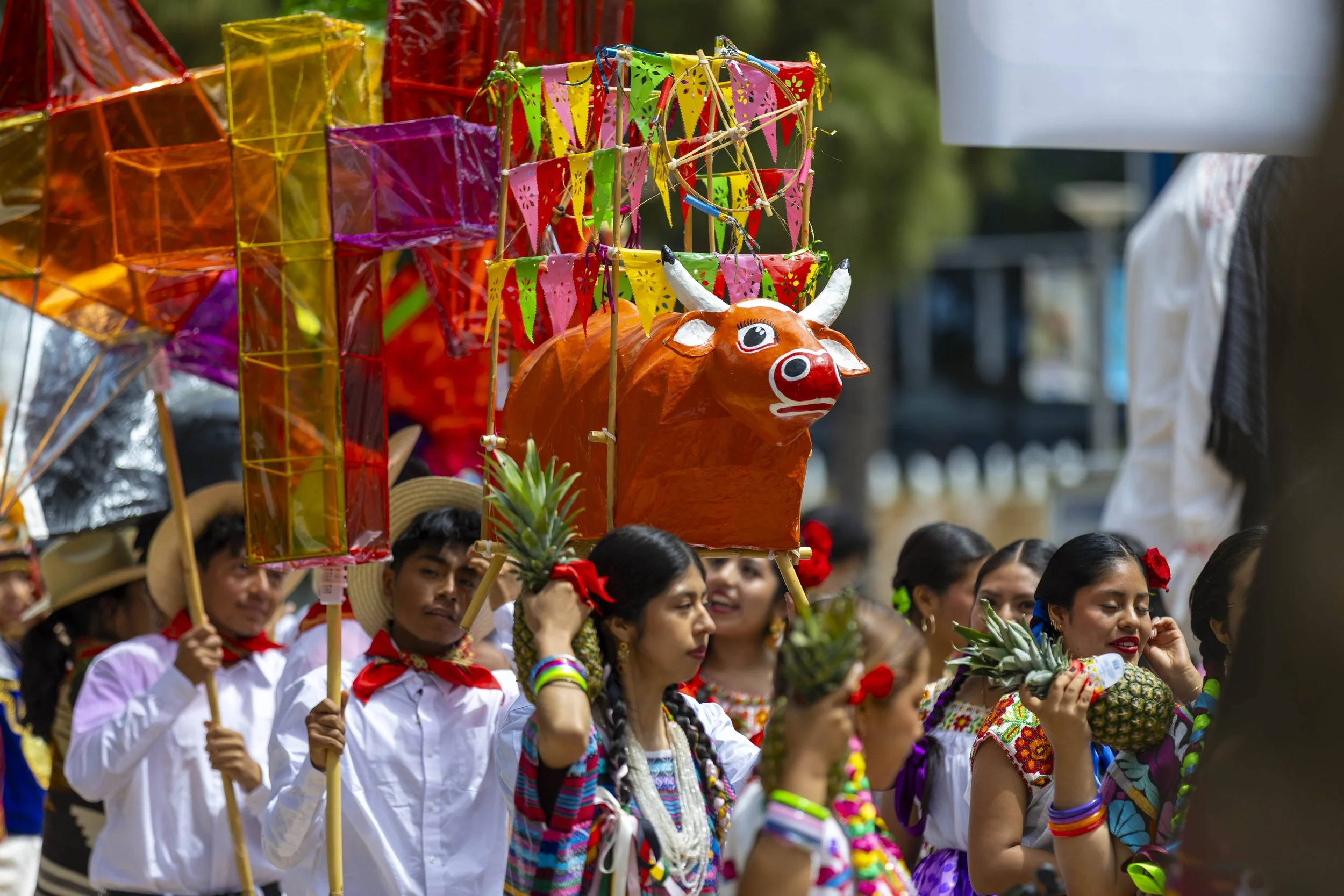  Oaxacans at Santa Monica College (SMC) members carrying a Torito (paper-mâché little bull) as they are dancing to a live Banda (band) during the Guelaguetza held at the Main Quad, SMC, Santa Monica, Calif, on Thursday, May 28, 2026. The Guelaguetza 