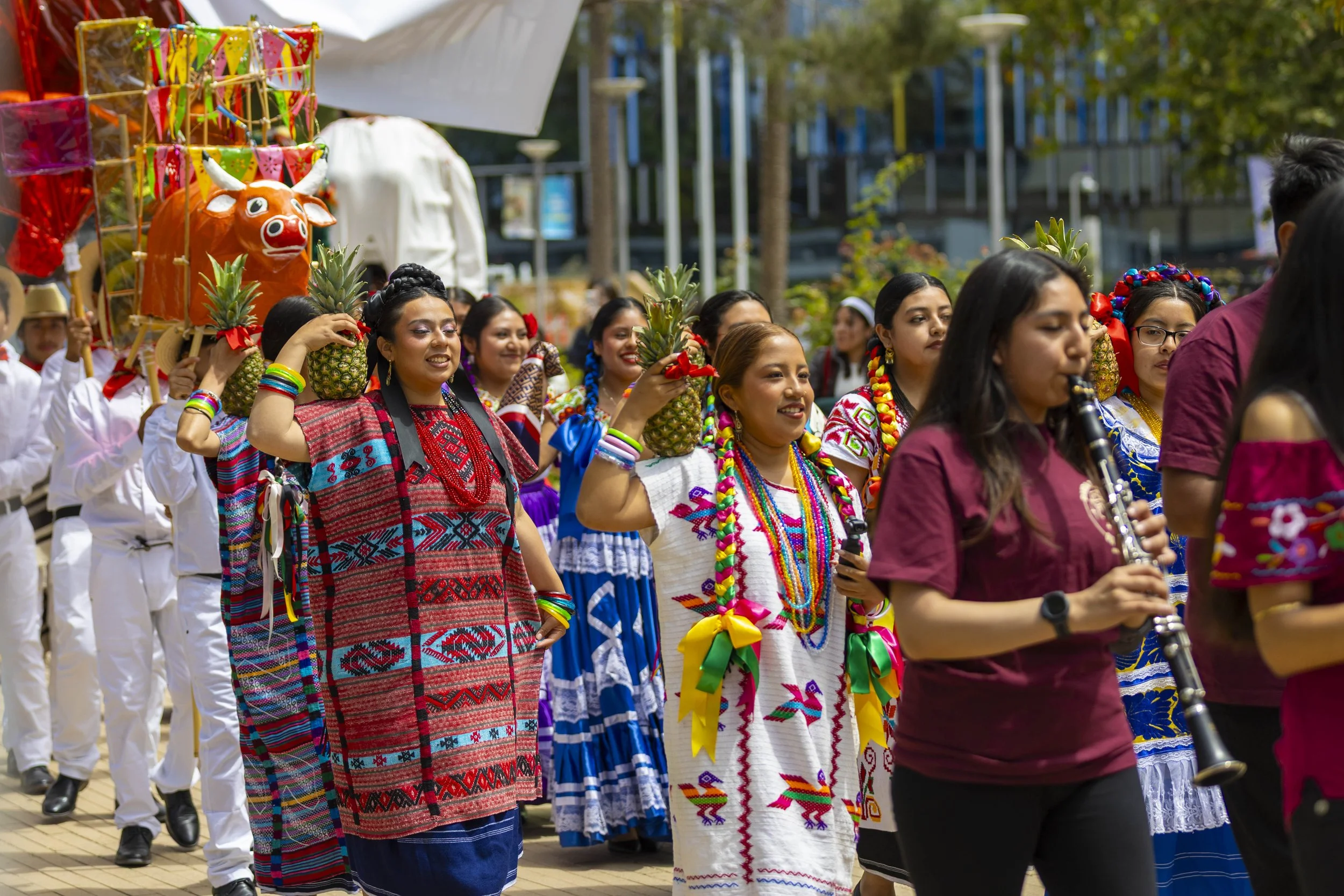  Oaxacans at Santa Monica College (SMC) members carrying pineapples as they are dancing to a live Banda (band) during the Guelaguetza held at the Main Quad, SMC, Santa Monica, Calif, on Thursday, May 28, 2026. The Guelaguetza is a traditional celebra
