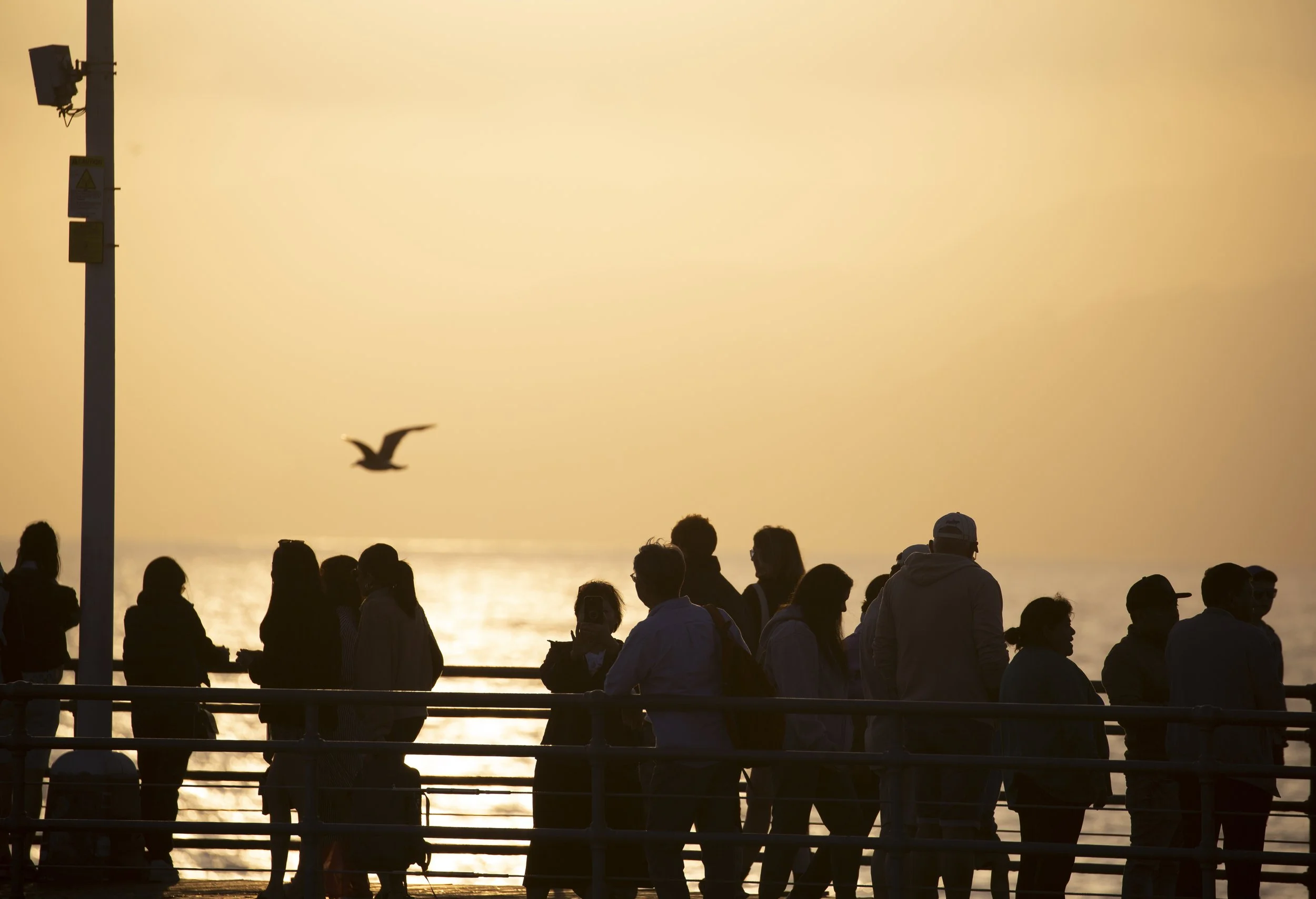  Visitors gather along the Santa Monica Pier near sunset in Santa Monica, Calif., on Friday, May 1, 2026. The pier draws crowds throughout the day for street performances, ocean views and entertainment. (Jinhao Tian | The Corsair) 