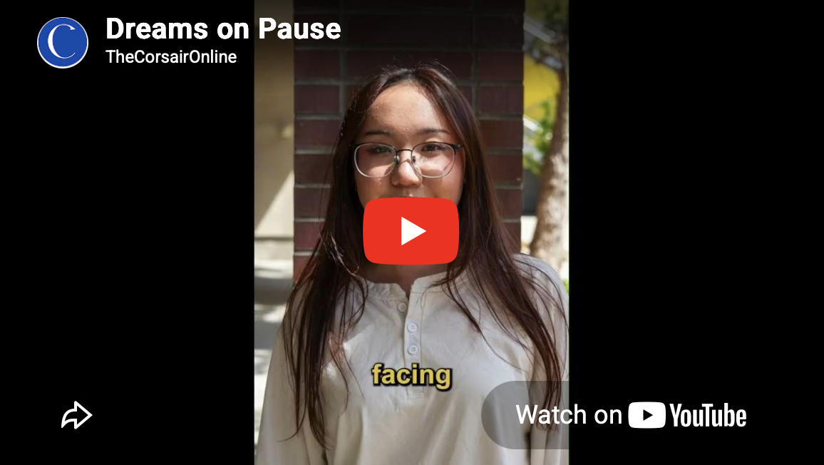 Dreams on Pause