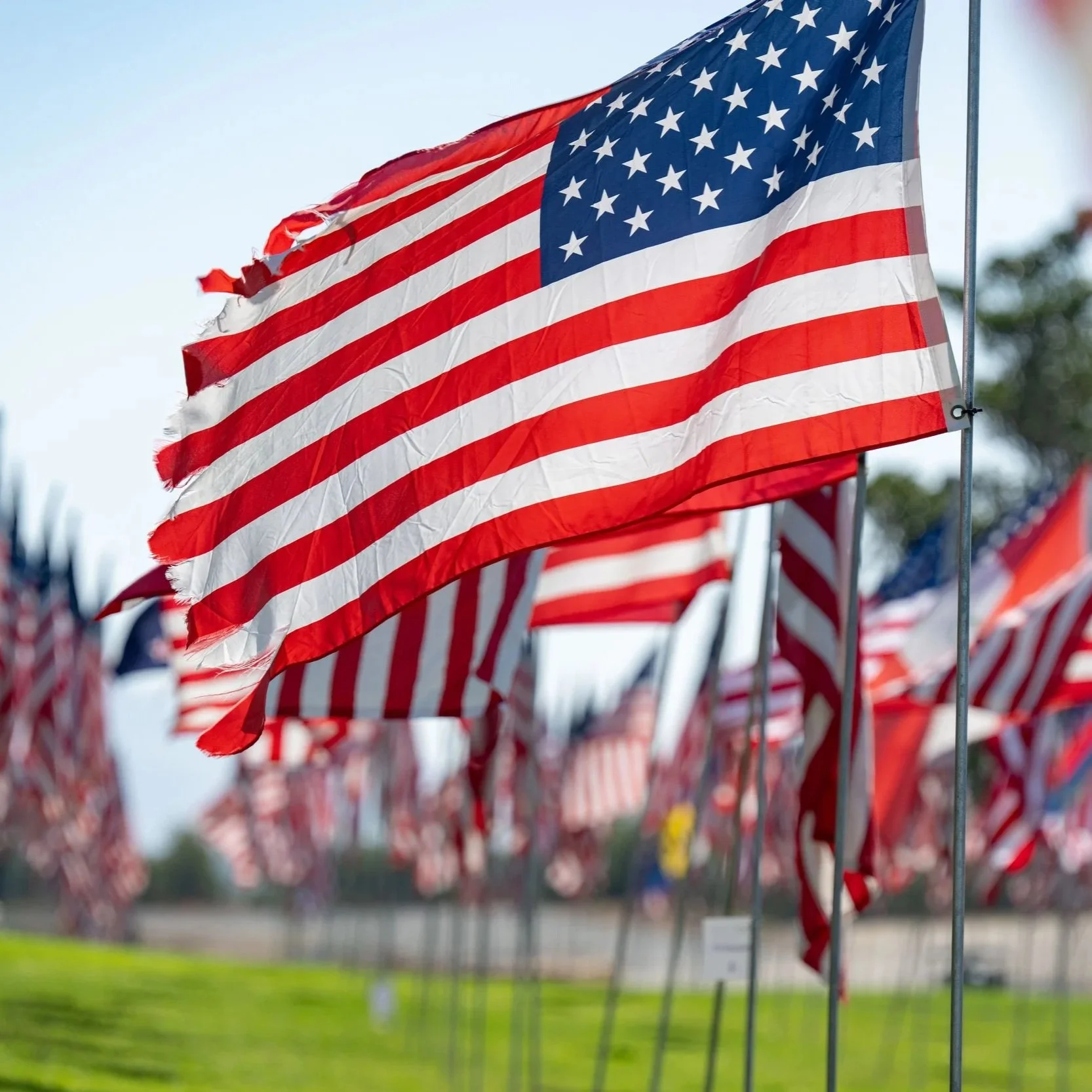 Waves of flags, Pepperdine remembers 9/11