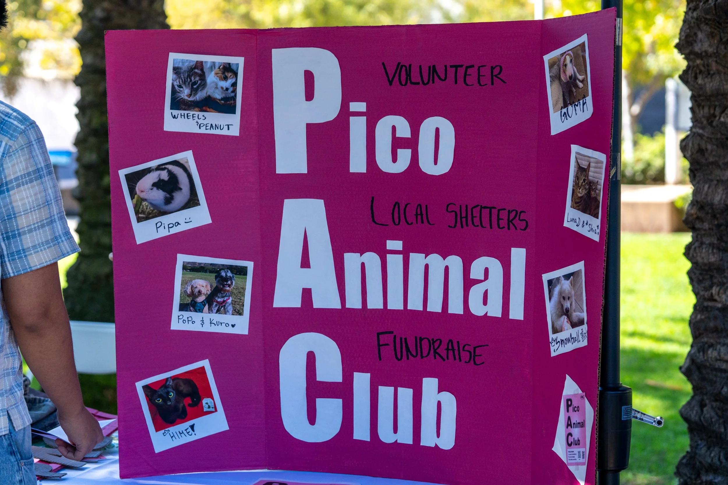  A poster for the Pico Animal Club is displayed at the club's table during Club Awareness on the Main Quad at Santa Monica College in Santa Monica, Calif., on Tuesday, Sept. 29, 2026. The club volunteers at local animal shelters and plans fundraisers
