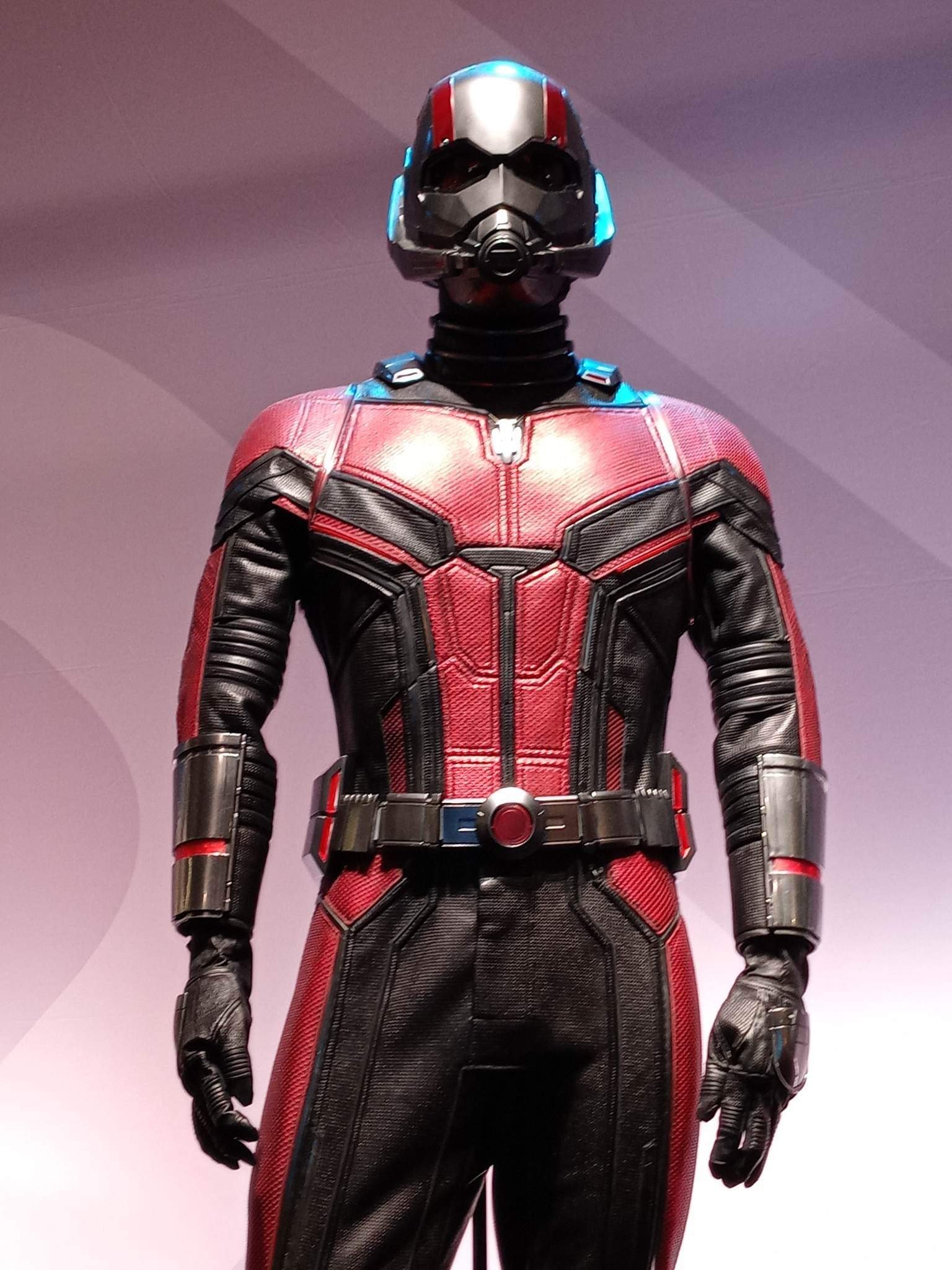 Everything You Need To Know Before Seeing Ant-Man and The Wasp - D23