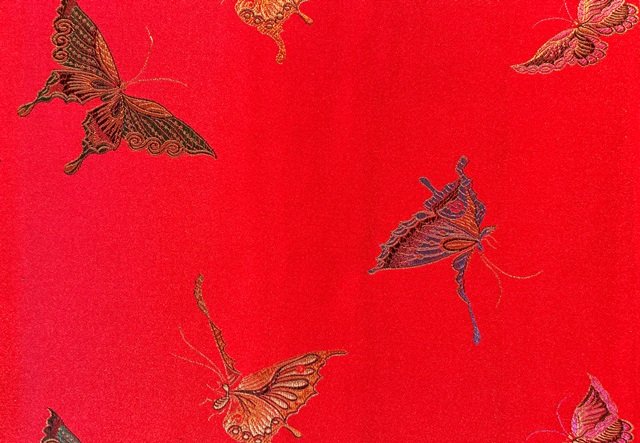Reb butterfly Web 640 image.jpg