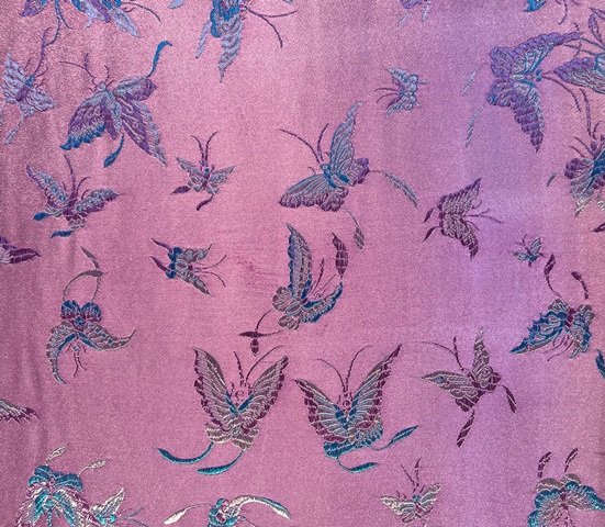 Butterfly purple web640.jpg