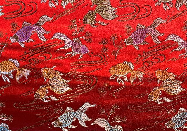 fish red web640.jpg