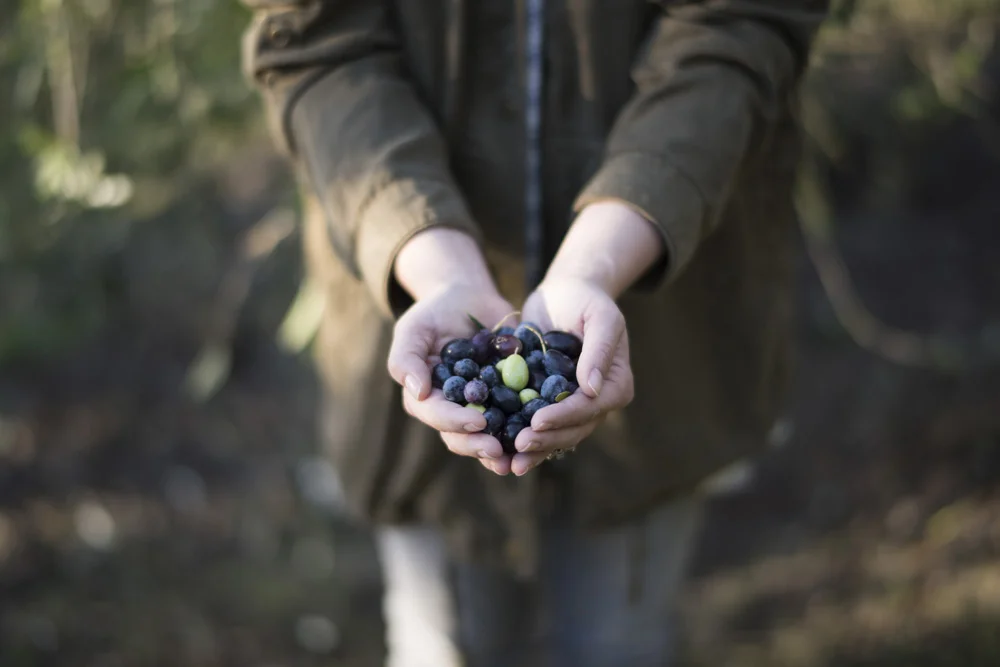 Morning Shots (157).jpg